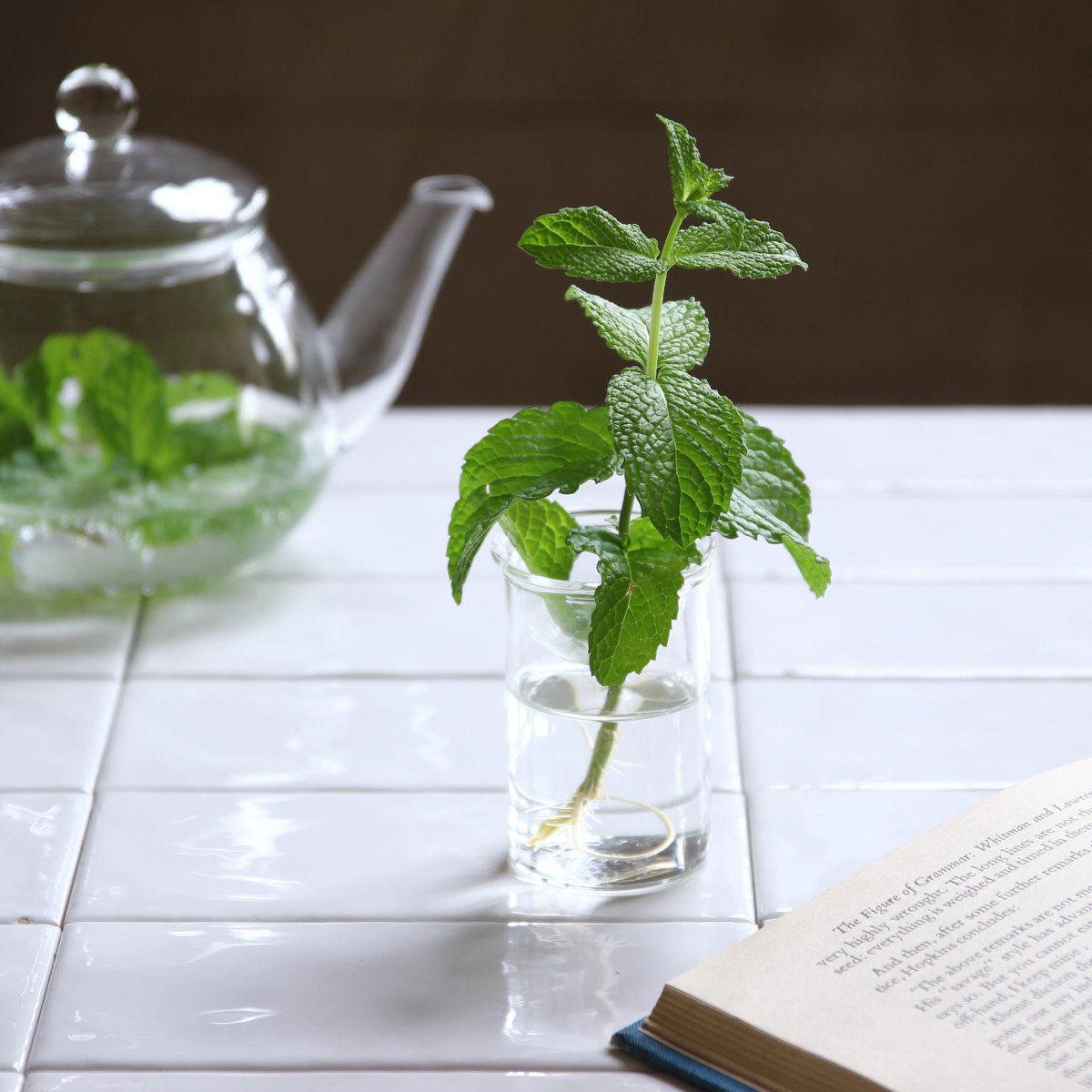 花瓶 MINI BULB VASE 水栽培ガラスベース 8.5cm 水耕栽培 ( 花器 ガラス おしゃれ フラワーベース 一輪挿し 花 クリア グリーン 栽培 ハーブ インテリア オブジェ ガラス製 飾る フラワーグラス 水栽培 )