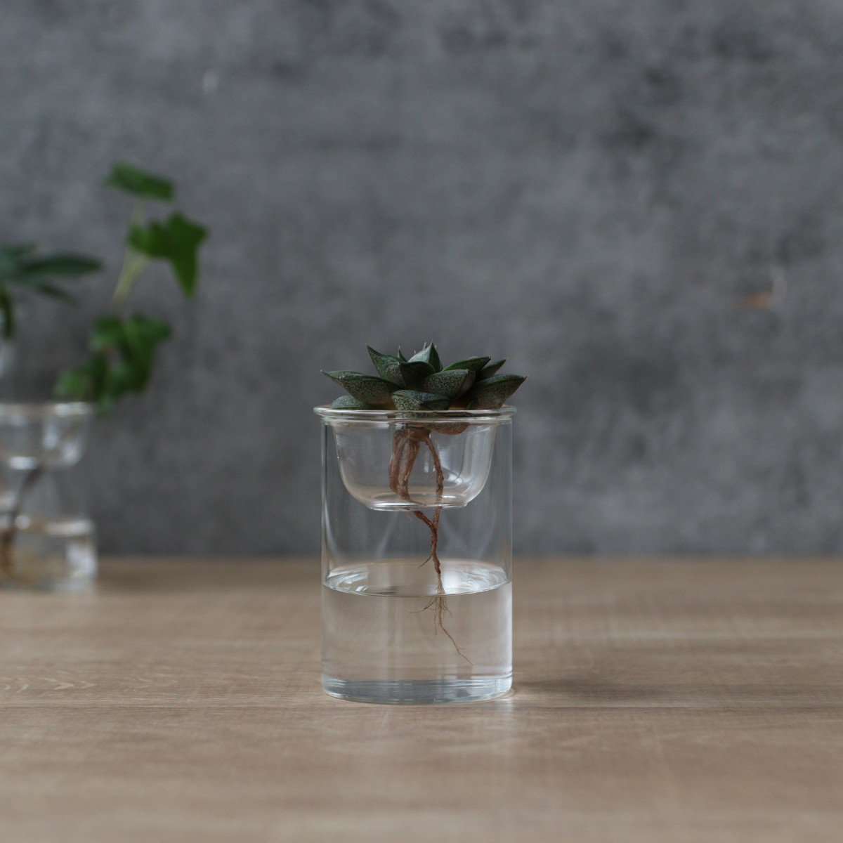 花瓶 MINI BULB VASE 水栽培ガラスベース 8.5cm 水耕栽培 ( 花器 ガラス おしゃれ フラワーベース 一輪挿し 花 クリア グリーン 栽培 ハーブ インテリア オブジェ ガラス製 飾る フラワーグラス 水栽培 )