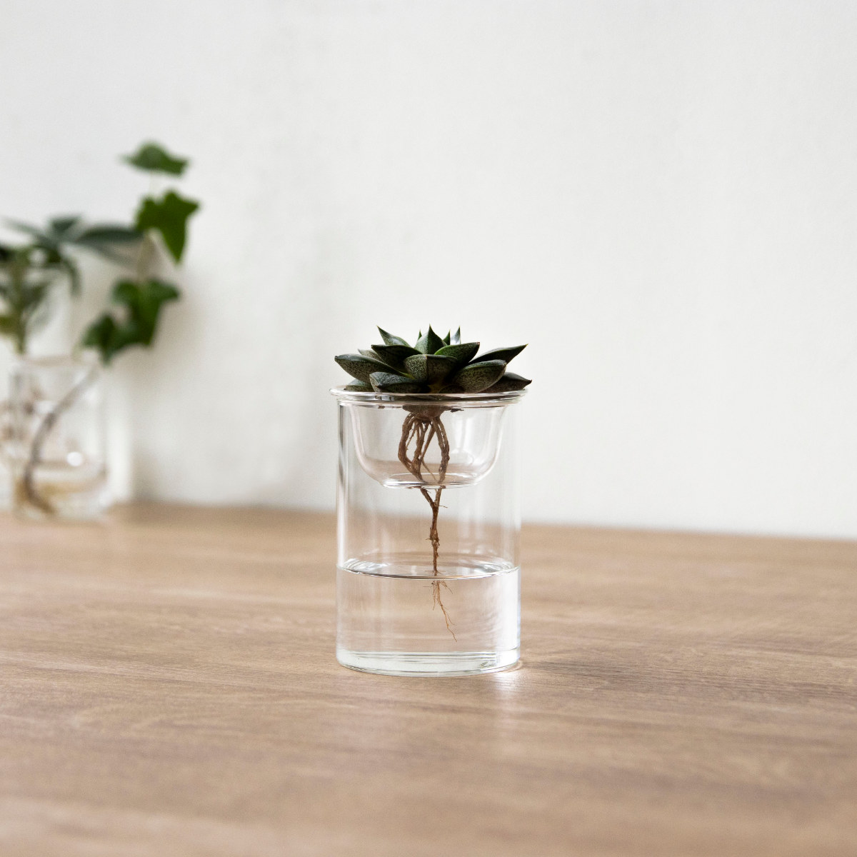 花瓶 MINI BULB VASE 水栽培ガラスベース 8.5cm 水耕栽培 ( 花器 ガラス おしゃれ フラワーベース 一輪挿し 花 クリア グリーン 栽培 ハーブ インテリア オブジェ ガラス製 飾る フラワーグラス 水栽培 )