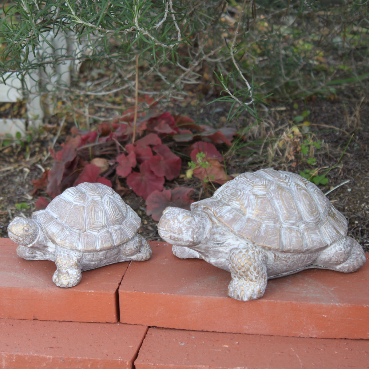 オブジェ デコール セメントオブジェ カメ A ( 置物 亀 かめ セメント オブジェ オーナメント ガーデンオーナメント 庭 インテリア 雑貨 屋外 ガーデン雑貨 小型 アニマル )