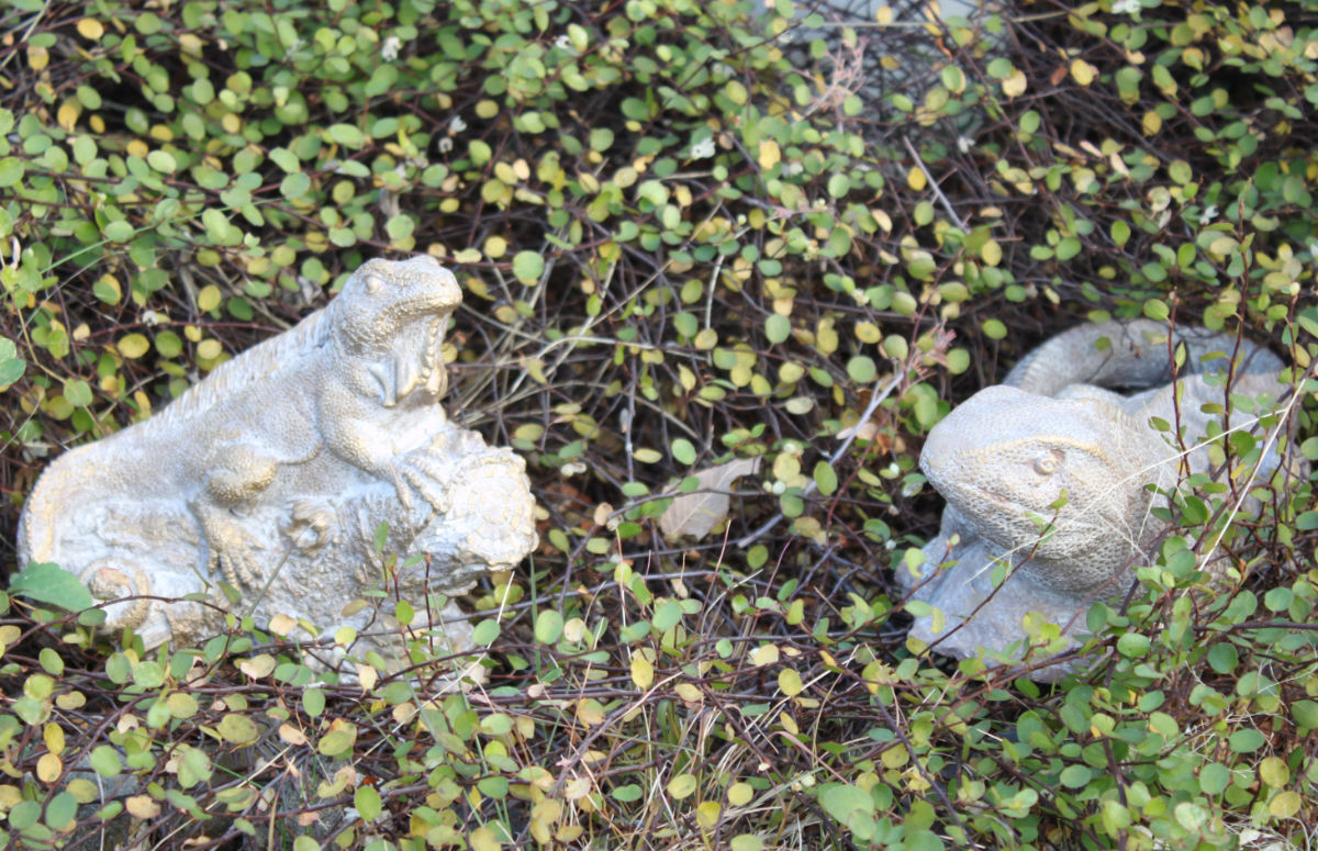 オブジェ デコール セメントオブジェ トカゲ S ( 置物 とかげ セメント オブジェ オーナメント ガーデンオーナメント 庭 インテリア 雑貨 屋外 ガーデン雑貨 中型 アニマル )