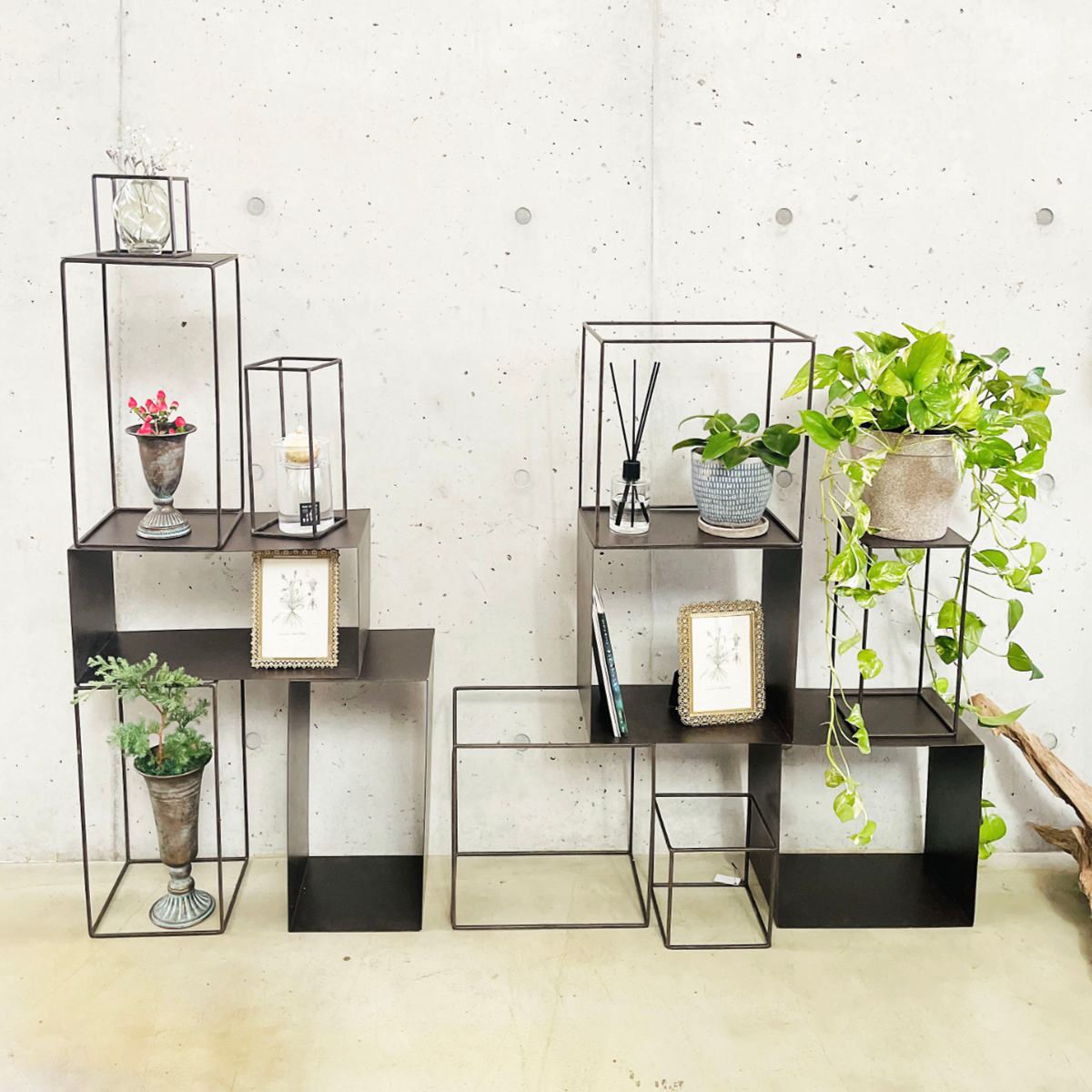 フレーム ジョセフアイアン ディスプレイワイヤーフレーム キューブ Lサイズ ( ディスプレイ 棚 フラワーラック 飾り台 アイアンフレーム 室内 飾る 台 置く 植物 観葉植物 花 園芸 収納棚 小物収納 インテリア )