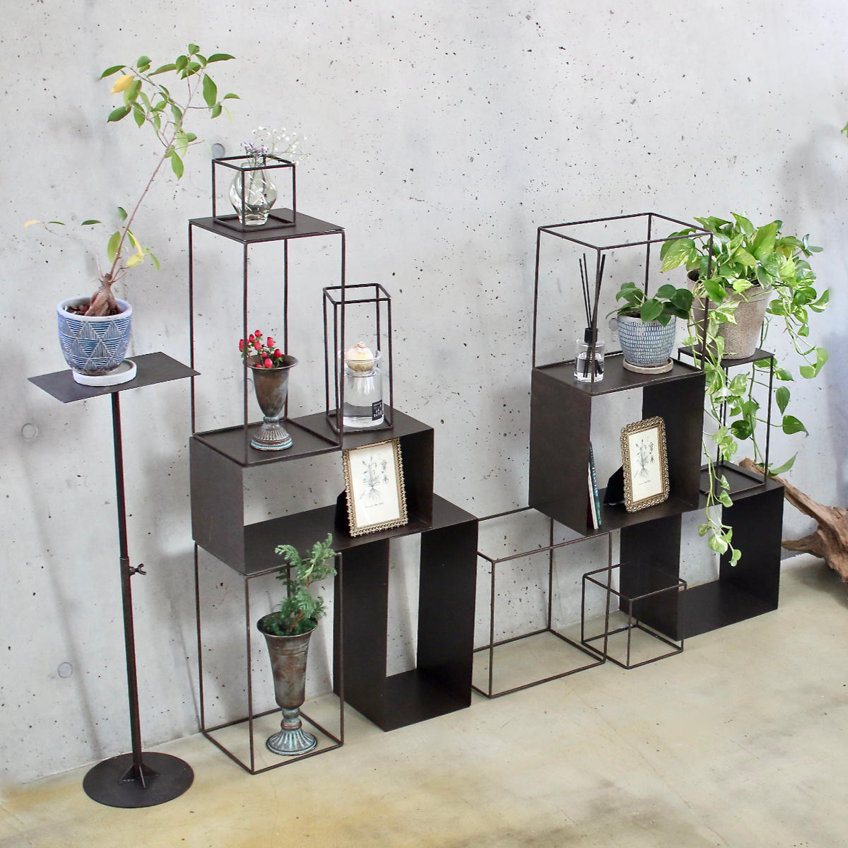 フレーム ジョセフアイアン ディスプレイワイヤーフレーム キューブ Lサイズ ( ディスプレイ 棚 フラワーラック 飾り台 アイアンフレーム 室内 飾る 台 置く 植物 観葉植物 花 園芸 収納棚 小物収納 インテリア )