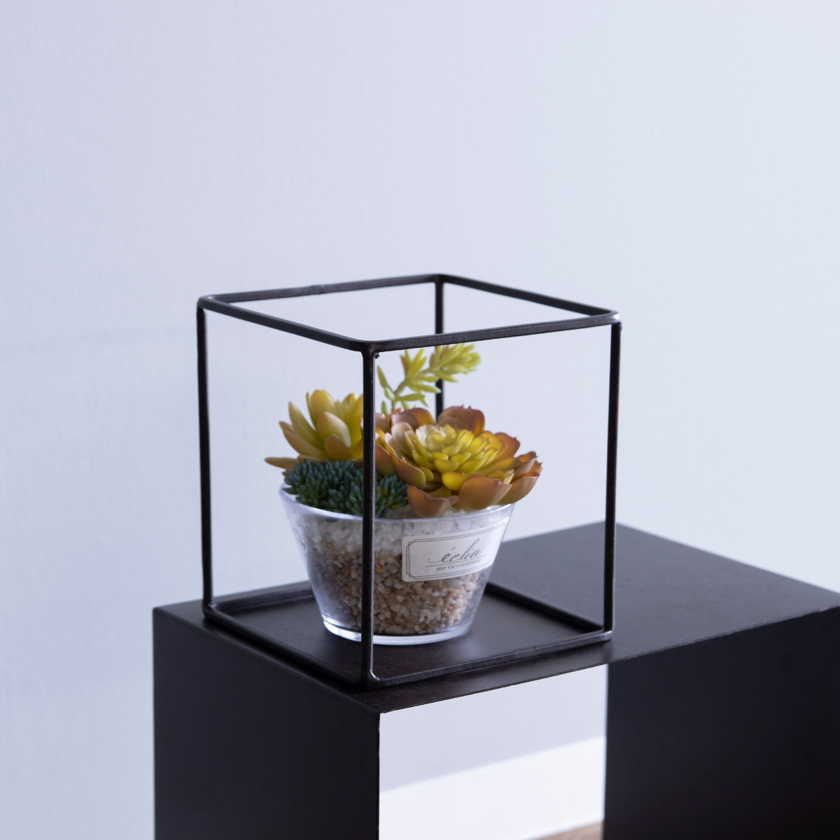 フレーム ジョセフアイアン ディスプレイワイヤーフレーム キューブ Lサイズ ( ディスプレイ 棚 フラワーラック 飾り台 アイアンフレーム 室内 飾る 台 置く 植物 観葉植物 花 園芸 収納棚 小物収納 インテリア )