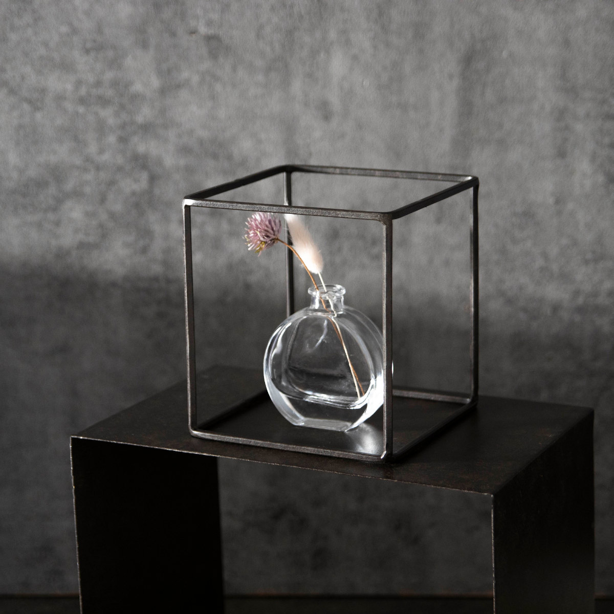 フレーム ジョセフアイアン ディスプレイワイヤーフレーム キューブ Lサイズ ( ディスプレイ 棚 フラワーラック 飾り台 アイアンフレーム 室内 飾る 台 置く 植物 観葉植物 花 園芸 収納棚 小物収納 インテリア )