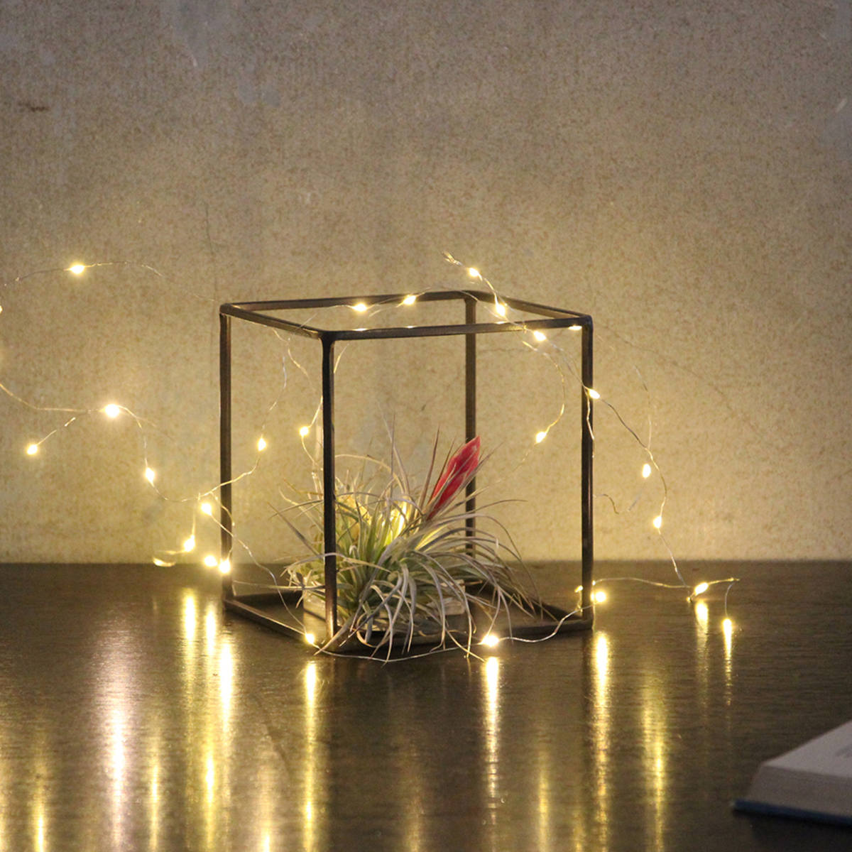 フレーム ジョセフアイアン ディスプレイワイヤーフレーム キューブ Lサイズ ( ディスプレイ 棚 フラワーラック 飾り台 アイアンフレーム 室内 飾る 台 置く 植物 観葉植物 花 園芸 収納棚 小物収納 インテリア )