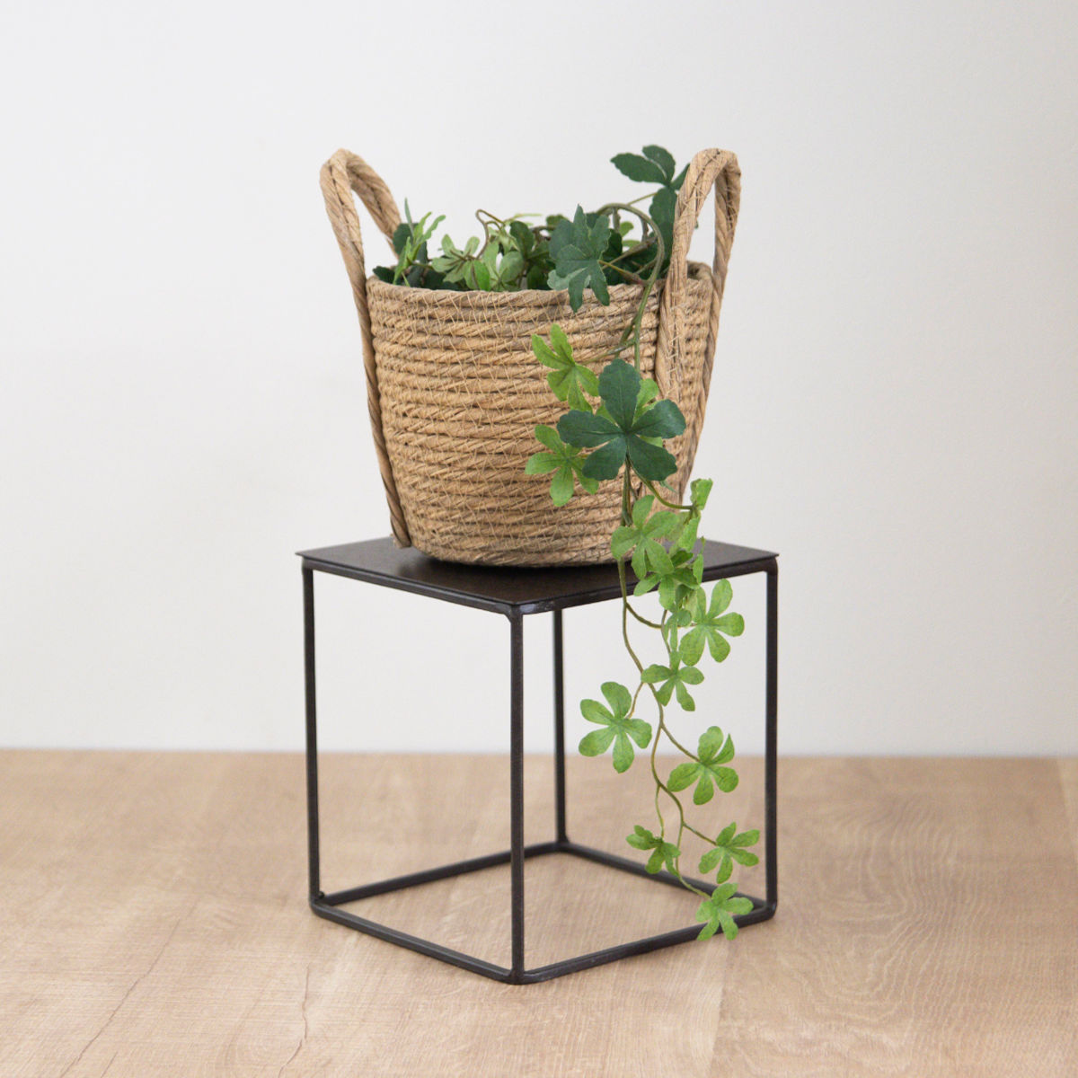 フレーム ジョセフアイアン ディスプレイワイヤーフレーム キューブ Lサイズ ( ディスプレイ 棚 フラワーラック 飾り台 アイアンフレーム 室内 飾る 台 置く 植物 観葉植物 花 園芸 収納棚 小物収納 インテリア )