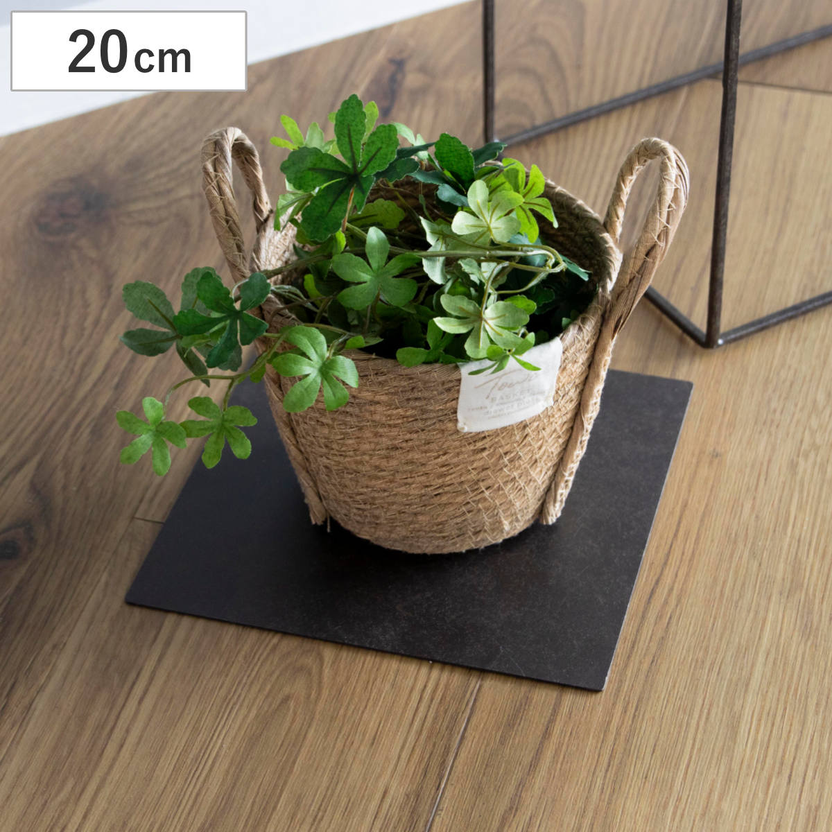 プレート ジョセフアイアンプレート 20×20cm （ ディスプレイ 棚 フラワーラック 飾り台 アイアンプレート 室内 飾る 台 置く 植物 観葉植物 花 園芸 収納棚 小物収納 インテリア ）