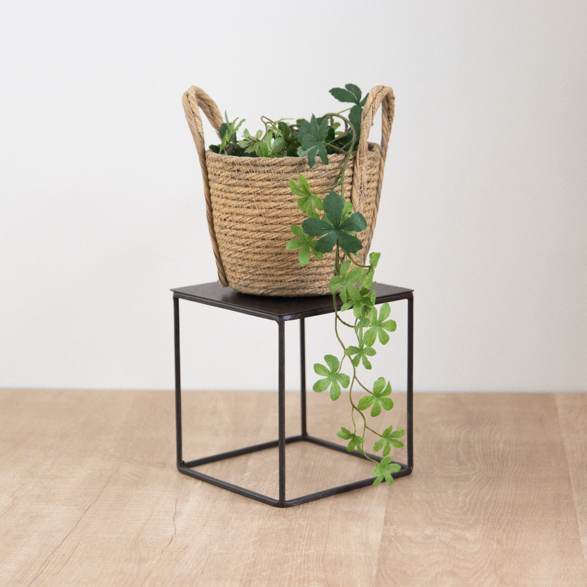 プレート ジョセフアイアンプレート 20×20cm ( ディスプレイ 棚 フラワーラック 飾り台 アイアンプレート 室内 飾る 台 置く 植物 観葉植物 花 園芸 収納棚 小物収納 インテリア )