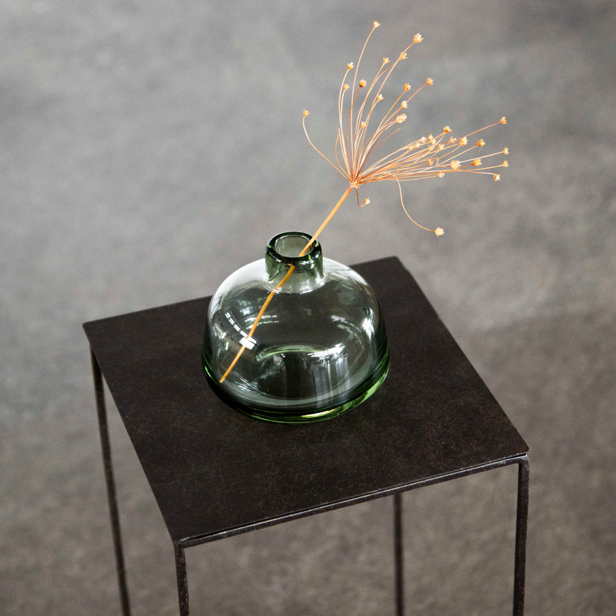 プレート ジョセフアイアンプレート 20×20cm ( ディスプレイ 棚 フラワーラック 飾り台 アイアンプレート 室内 飾る 台 置く 植物 観葉植物 花 園芸 収納棚 小物収納 インテリア )