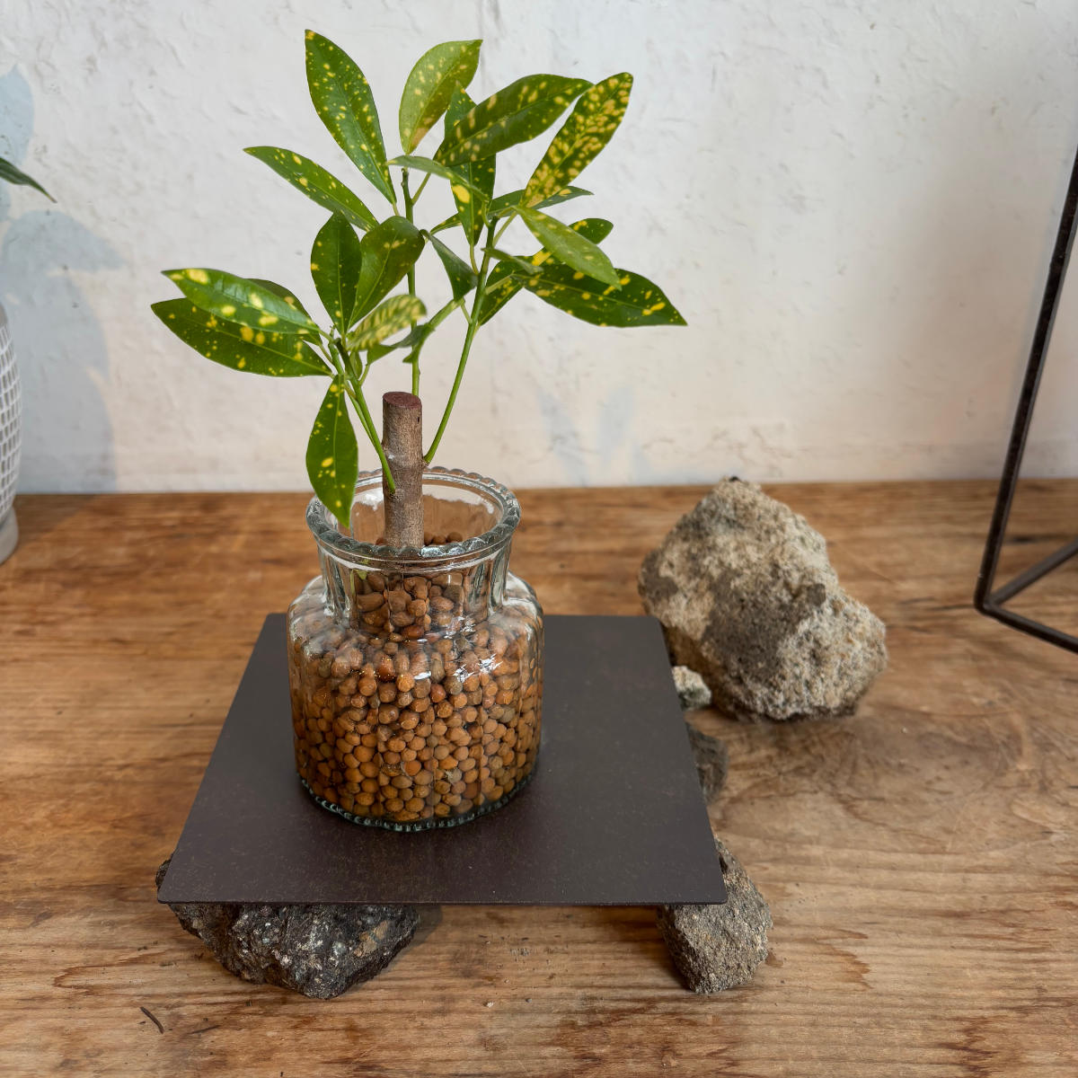 プレート ジョセフアイアンプレート 20×20cm ( ディスプレイ 棚 フラワーラック 飾り台 アイアンプレート 室内 飾る 台 置く 植物 観葉植物 花 園芸 収納棚 小物収納 インテリア )