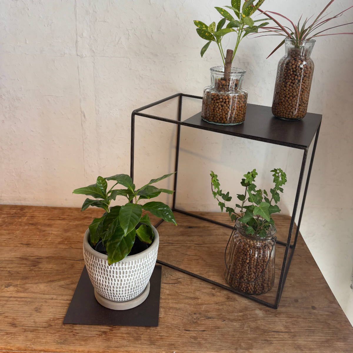 プレート ジョセフアイアンプレート 20×20cm ( ディスプレイ 棚 フラワーラック 飾り台 アイアンプレート 室内 飾る 台 置く 植物 観葉植物 花 園芸 収納棚 小物収納 インテリア )