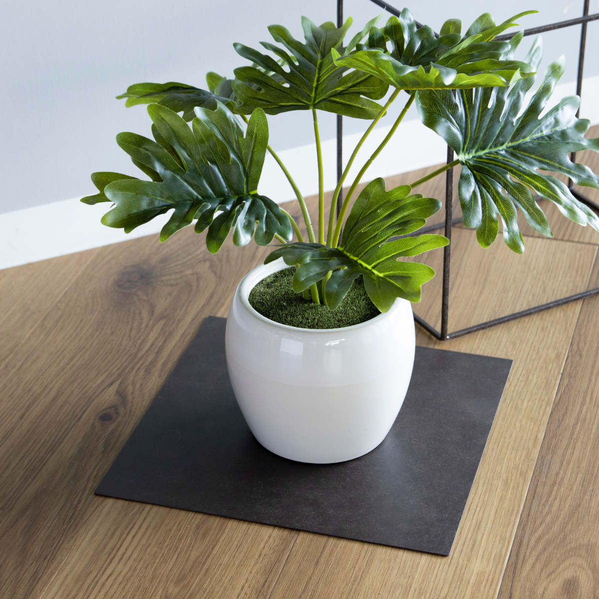 プレート ジョセフアイアンプレート 30×30cm ( ディスプレイ 棚 フラワーラック 飾り台 アイアンプレート 室内 飾る 台 置く 植物 観葉植物 花 園芸 収納棚 小物収納 インテリア )