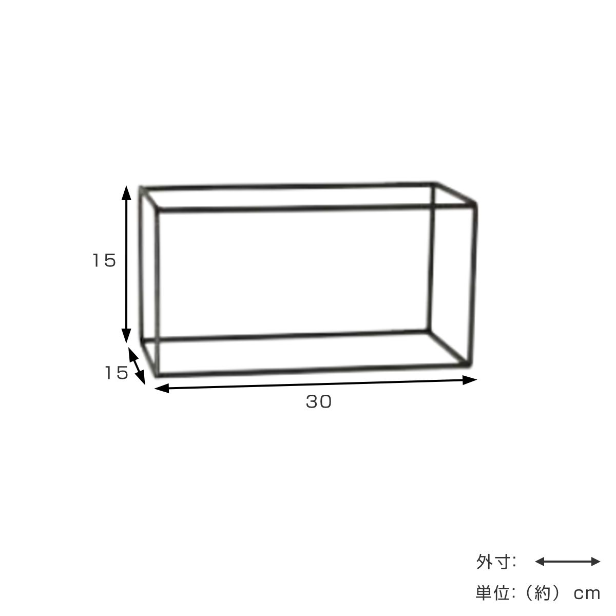 フレーム ジョセフアイアン ディスプレイワイヤーフレーム レクタングル Lサイズ ( ディスプレイ 棚 フラワーラック 飾り台 アイアンフレーム 室内 飾る 台 置く 植物 観葉植物 花 園芸 収納棚 小物収納 インテリア )