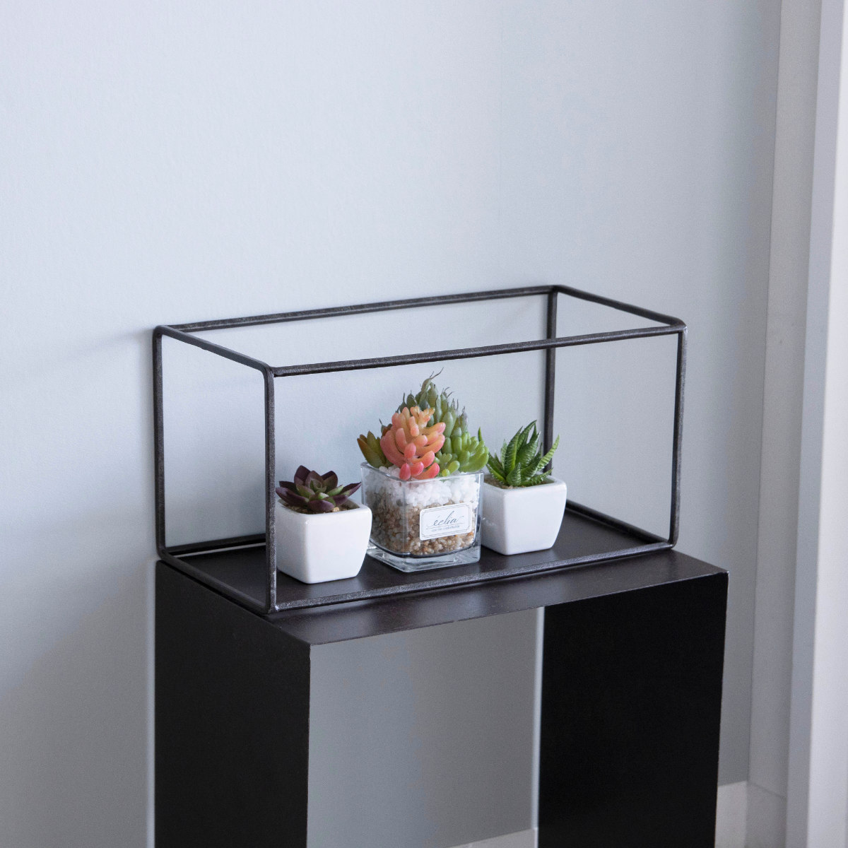 フレーム ジョセフアイアン ディスプレイワイヤーフレーム レクタングル Lサイズ ( ディスプレイ 棚 フラワーラック 飾り台 アイアンフレーム 室内 飾る 台 置く 植物 観葉植物 花 園芸 収納棚 小物収納 インテリア )