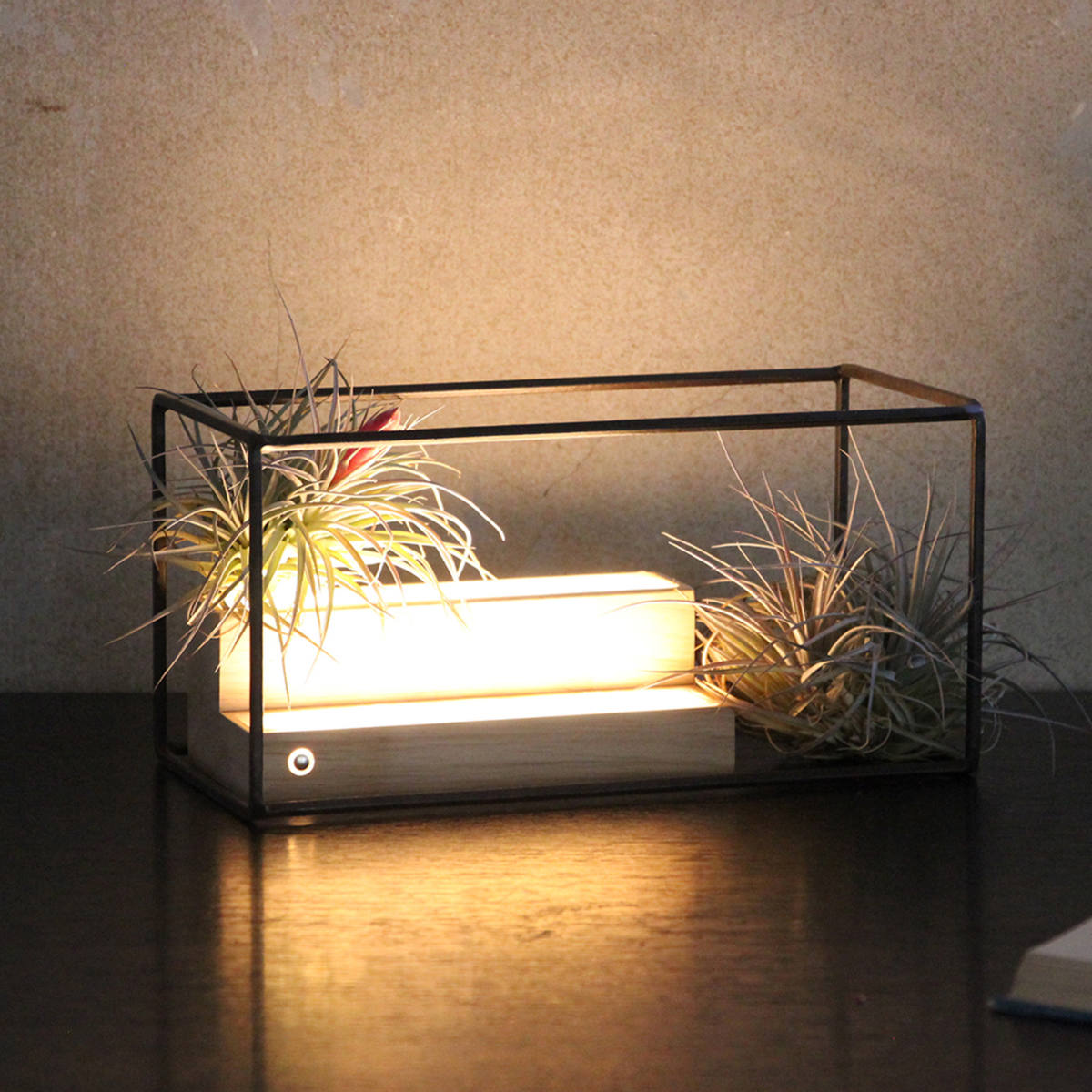 フレーム ジョセフアイアン ディスプレイワイヤーフレーム レクタングル Lサイズ ( ディスプレイ 棚 フラワーラック 飾り台 アイアンフレーム 室内 飾る 台 置く 植物 観葉植物 花 園芸 収納棚 小物収納 インテリア )