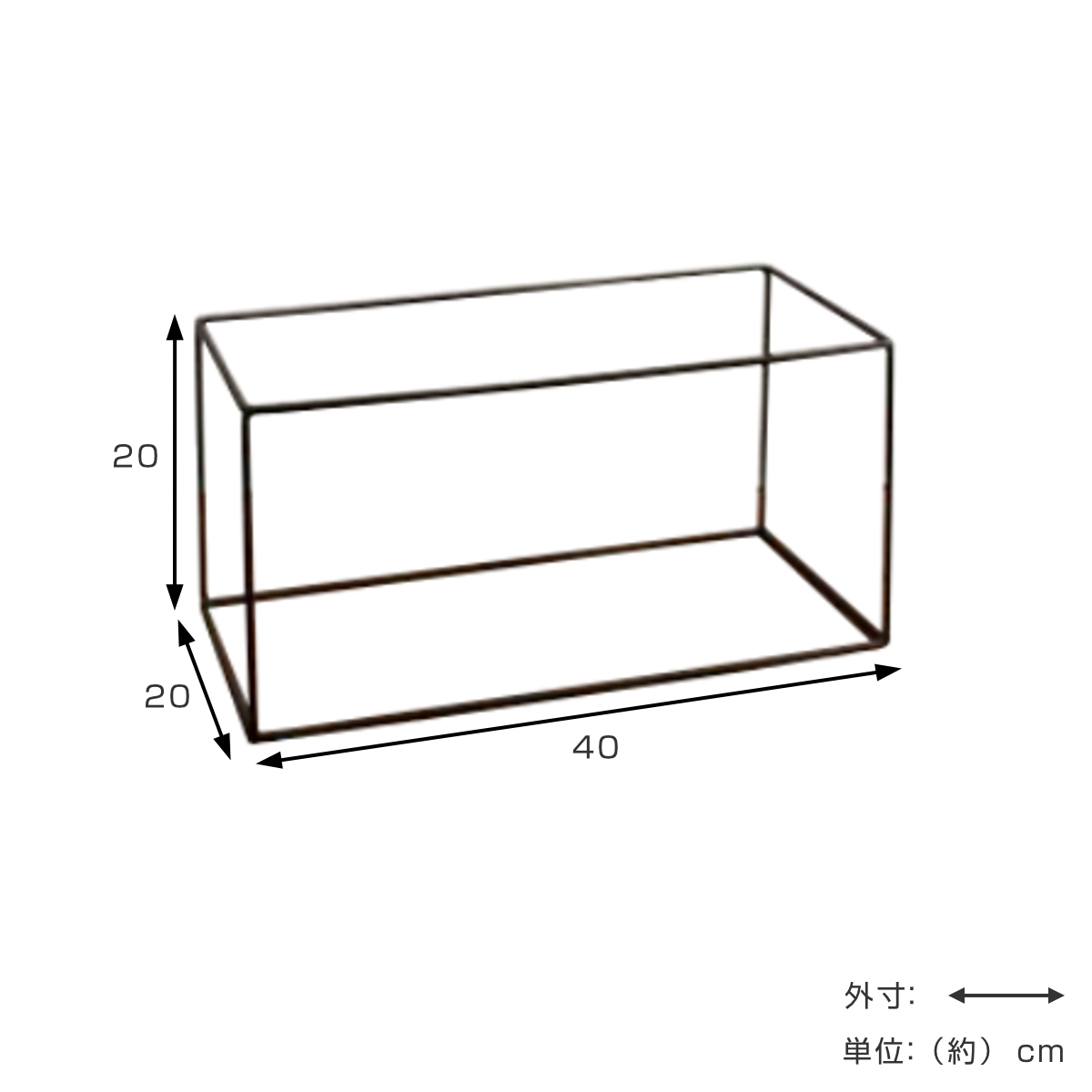 フレーム ジョセフアイアンフレーム レクト 40×20×20cm ( ディスプレイ 棚 フラワーラック 飾り台 アイアンフレーム 室内 飾る 台 置く 植物 観葉植物 花 園芸 収納棚 小物収納 インテリア )