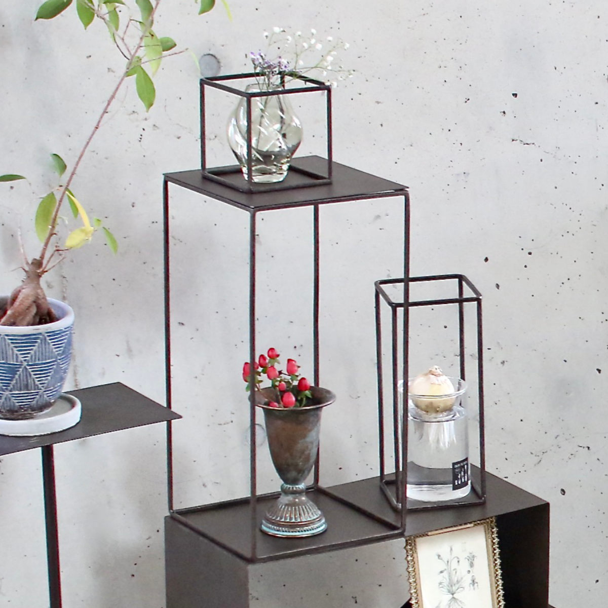 フレーム ジョセフアイアンフレーム レクト 40×20×20cm ( ディスプレイ 棚 フラワーラック 飾り台 アイアンフレーム 室内 飾る 台 置く 植物 観葉植物 花 園芸 収納棚 小物収納 インテリア )