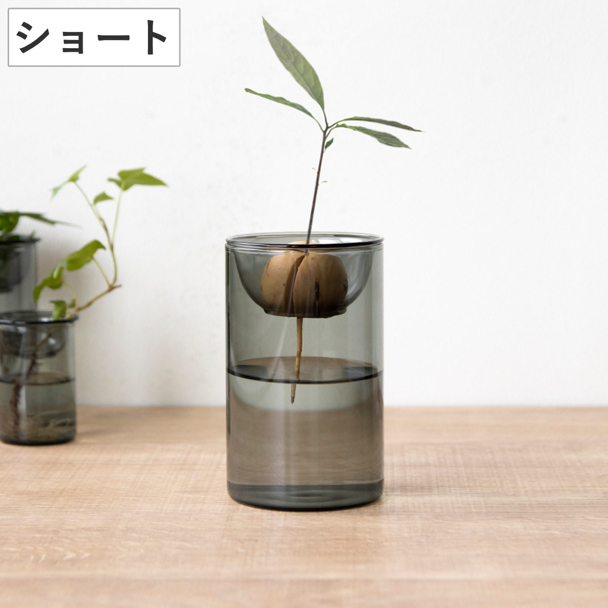 花瓶 BULB VASE 水栽培ガラスベース ショート 水耕栽培 ( 花器 ガラス おしゃれ フラワーベース 一輪挿し 花 グレー グリーン 栽培 ハーブ インテリア オブジェ ガラス製 飾る フラワーグラス 水栽培 )