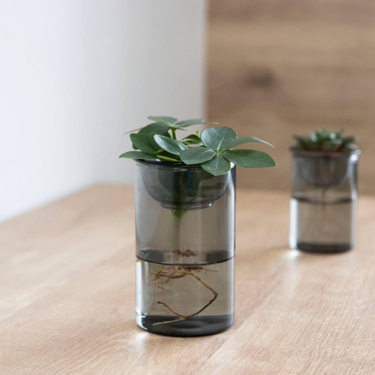 花瓶 BULB VASE 水栽培ガラスベース ショート 水耕栽培 ( 花器 ガラス おしゃれ フラワーベース 一輪挿し 花 グレー グリーン 栽培 ハーブ インテリア オブジェ ガラス製 飾る フラワーグラス 水栽培 )