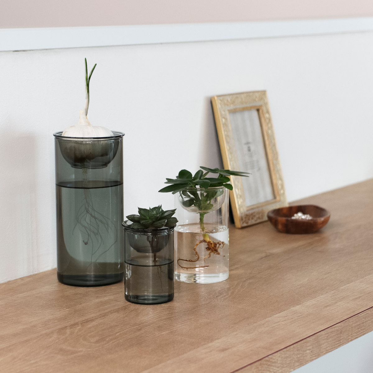 花瓶 BULB VASE 水栽培ガラスベース ショート 水耕栽培 ( 花器 ガラス おしゃれ フラワーベース 一輪挿し 花 グレー グリーン 栽培 ハーブ インテリア オブジェ ガラス製 飾る フラワーグラス 水栽培 )