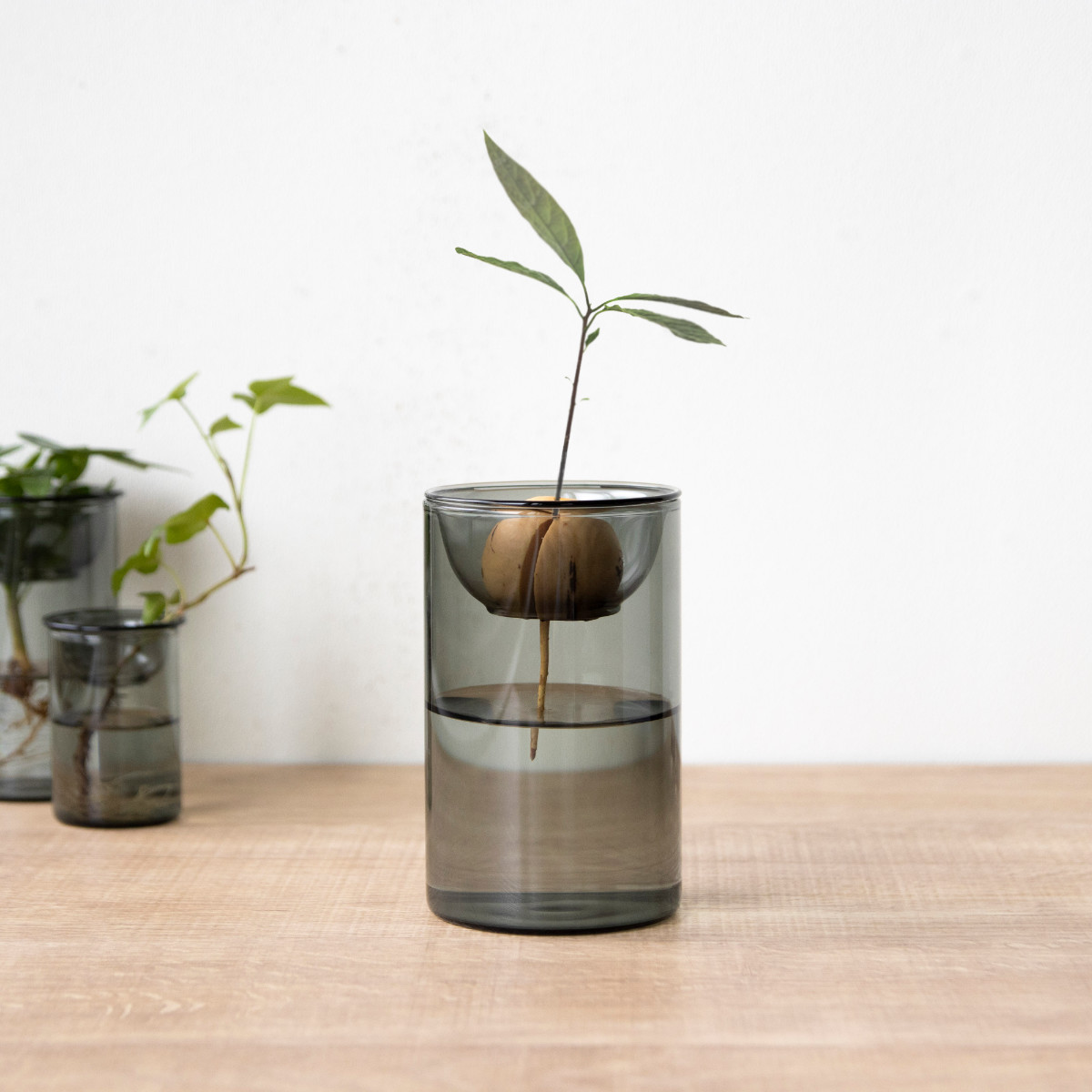 花瓶 BULB VASE 水栽培ガラスベース ショート 水耕栽培 ( 花器 ガラス おしゃれ フラワーベース 一輪挿し 花 グレー グリーン 栽培 ハーブ インテリア オブジェ ガラス製 飾る フラワーグラス 水栽培 )