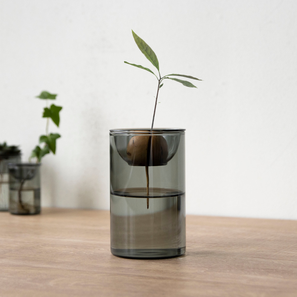 花瓶 BULB VASE 水栽培ガラスベース ショート 水耕栽培 ( 花器 ガラス おしゃれ フラワーベース 一輪挿し 花 グレー グリーン 栽培 ハーブ インテリア オブジェ ガラス製 飾る フラワーグラス 水栽培 )