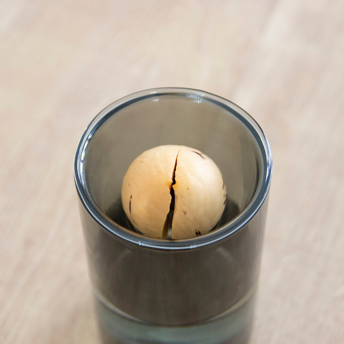 花瓶 BULB VASE 水栽培ガラスベース ショート 水耕栽培 ( 花器 ガラス おしゃれ フラワーベース 一輪挿し 花 グレー グリーン 栽培 ハーブ インテリア オブジェ ガラス製 飾る フラワーグラス 水栽培 )