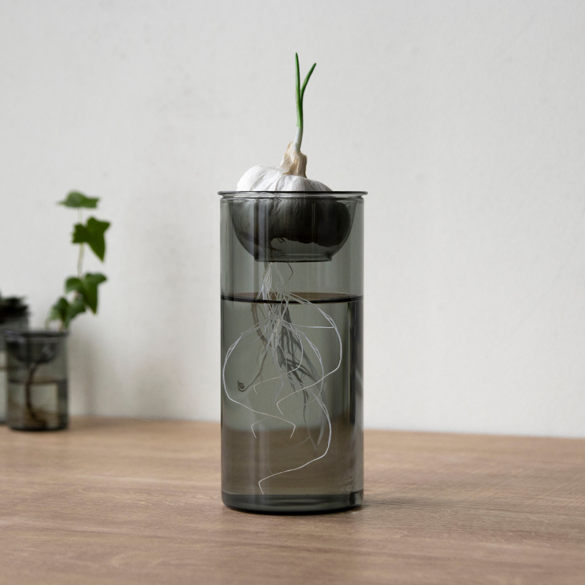 花瓶 BULB VASE 水栽培ガラスベース ロング 水耕栽培 ( 花器 ガラス おしゃれ フラワーベース 一輪挿し 花 グレー グリーン 栽培 ハーブ インテリア オブジェ ガラス製 飾る フラワーグラス 水栽培 )