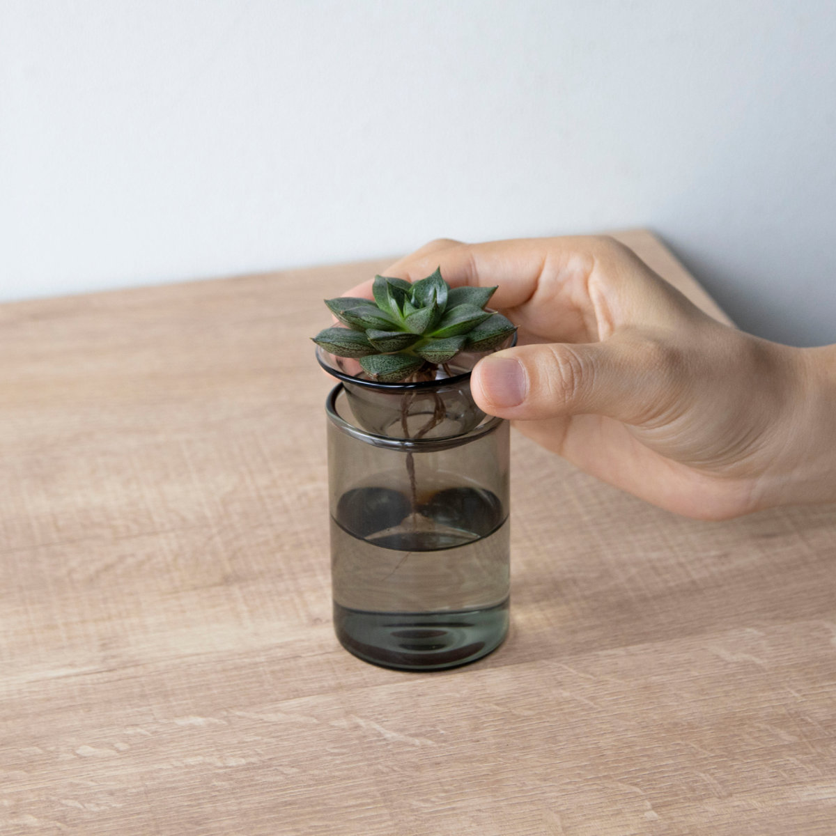 花瓶 MINI BULB VASE 水栽培ガラスベース 8.5cm 水耕栽培 ( 花器 ガラス おしゃれ フラワーベース 一輪挿し 花 グレー グリーン 栽培 ハーブ インテリア オブジェ ガラス製 飾る フラワーグラス 水栽培 )