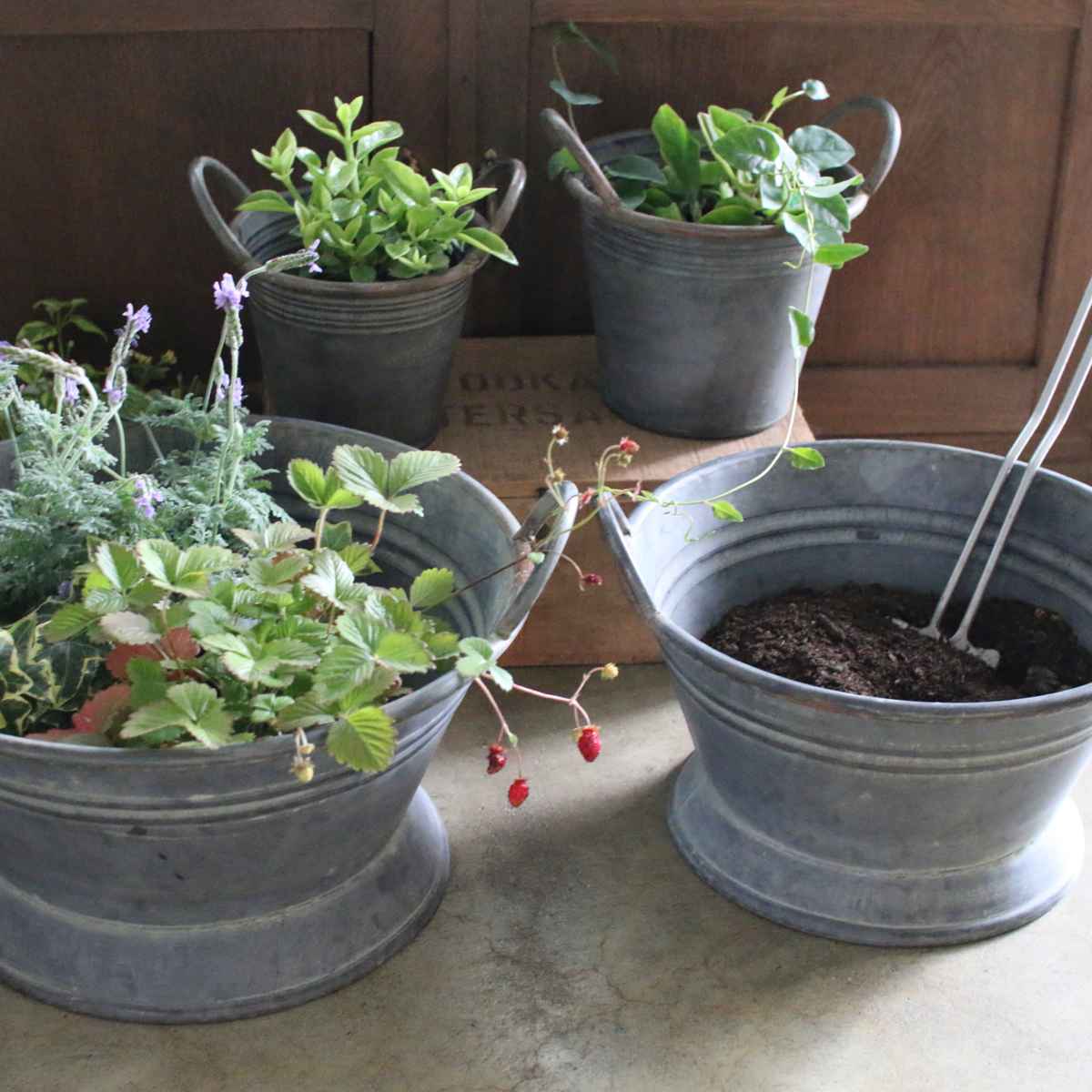 鉢 ブリキ ブリキハンドルバケツ S ( プランター プラントポット 植物用ポット 鉢カバー ブリキポット ブリキ鉢 植物 花 ドライフラワー 観葉植物 多肉植物 園芸 インテリア 収納 丸型 PVCポット付き )