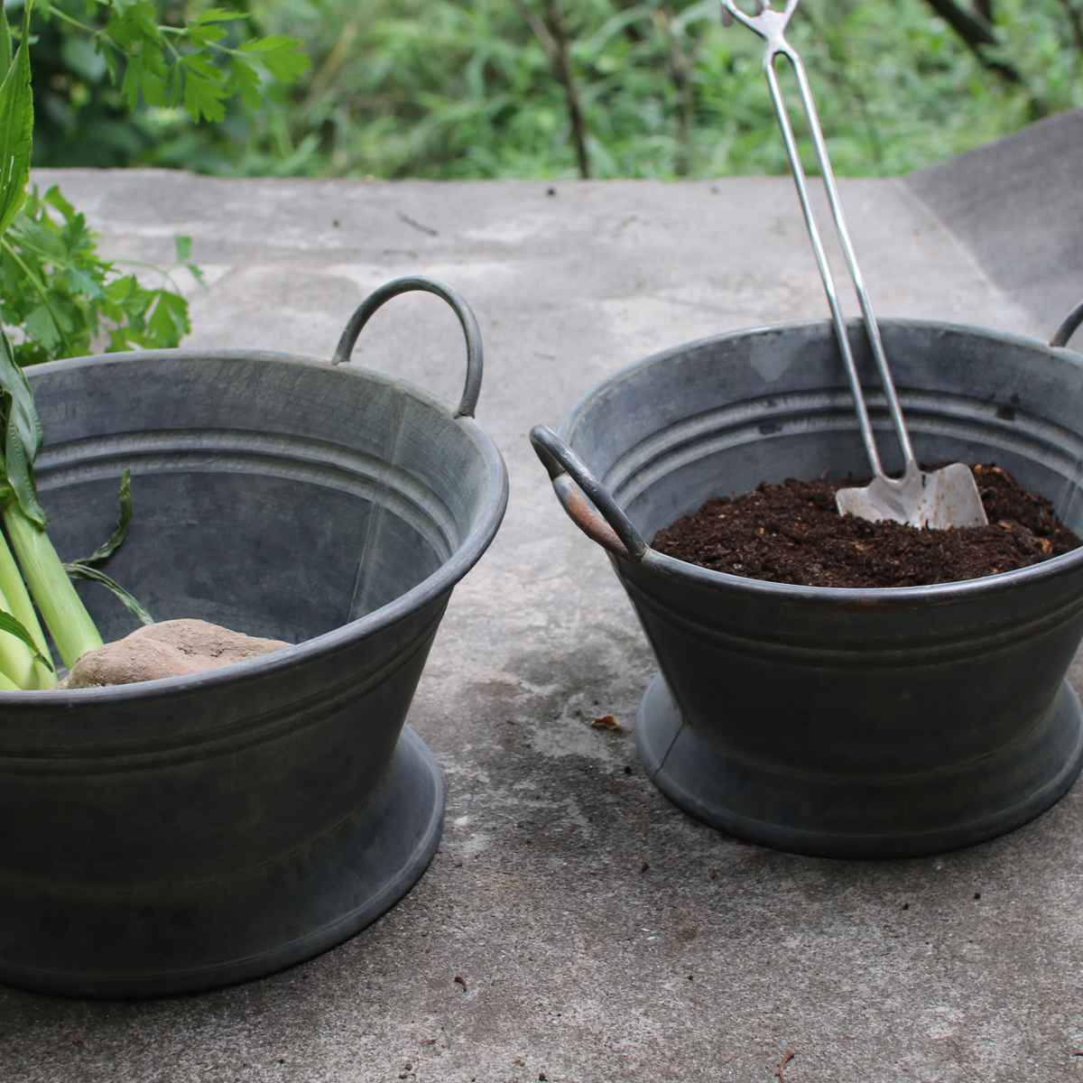 鉢 ブリキ ブリキハンドルバケツ S ( プランター プラントポット 植物用ポット 鉢カバー ブリキポット ブリキ鉢 植物 花 ドライフラワー 観葉植物 多肉植物 園芸 インテリア 収納 丸型 PVCポット付き )