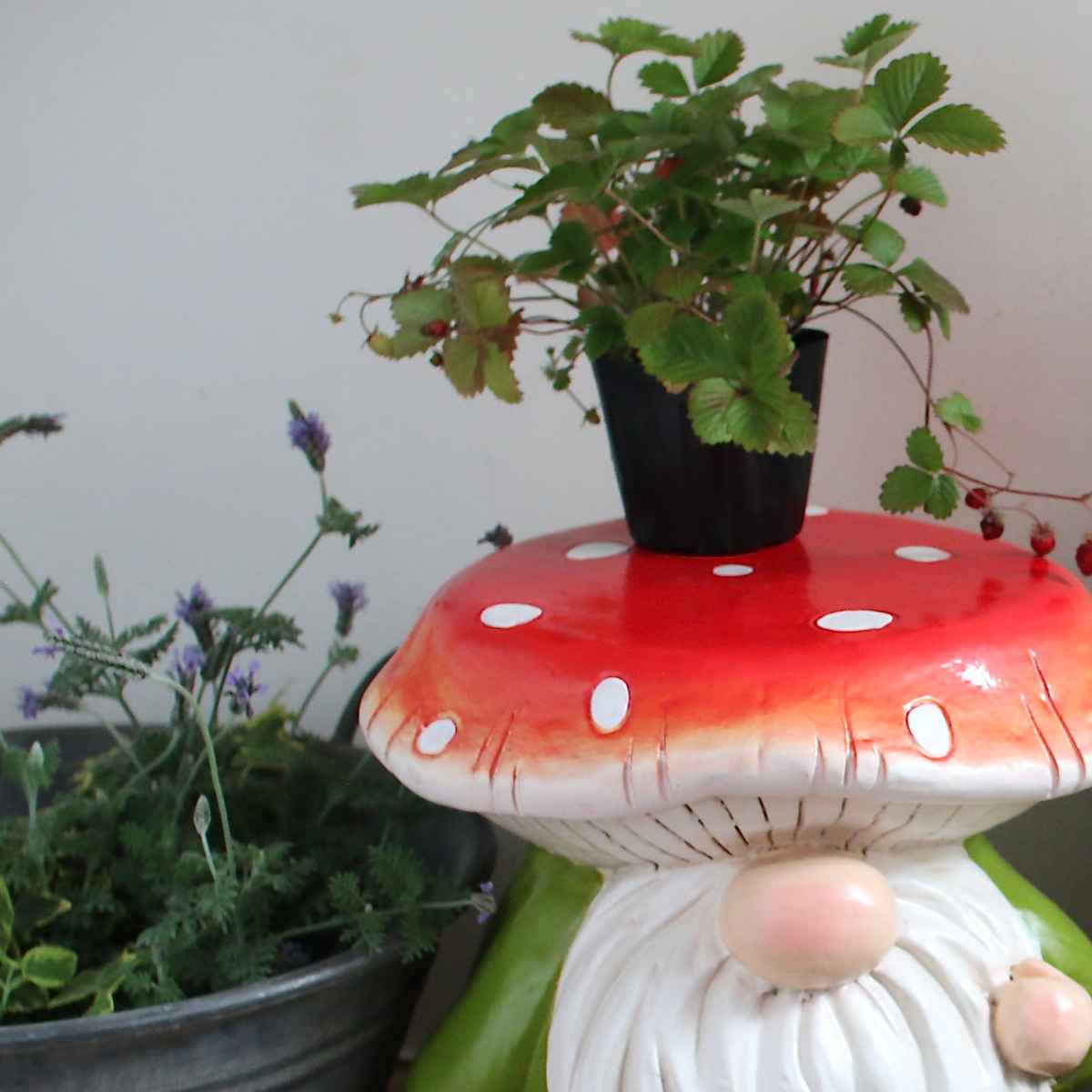 ガーデンノーム KINOKO 置物 ( 小人の妖精 小人 レジン オブジェ オーナメント ガーデンオーナメント 庭 インテリア 雑貨 屋外 ガーデン雑貨 中型 こびと 園芸 ガーデンインテリア )