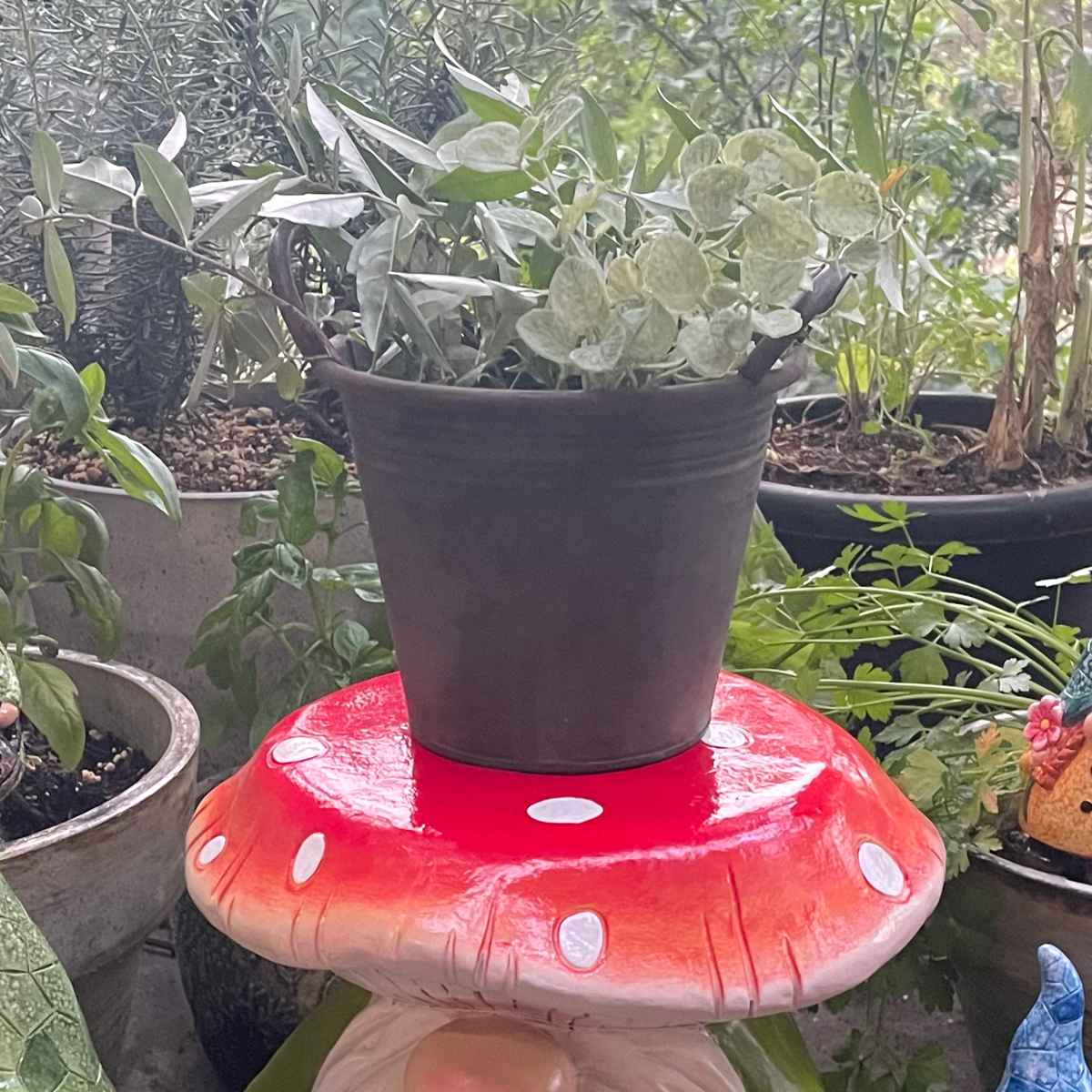 ガーデンノーム KINOKO 置物 ( 小人の妖精 小人 レジン オブジェ オーナメント ガーデンオーナメント 庭 インテリア 雑貨 屋外 ガーデン雑貨 中型 こびと 園芸 ガーデンインテリア )