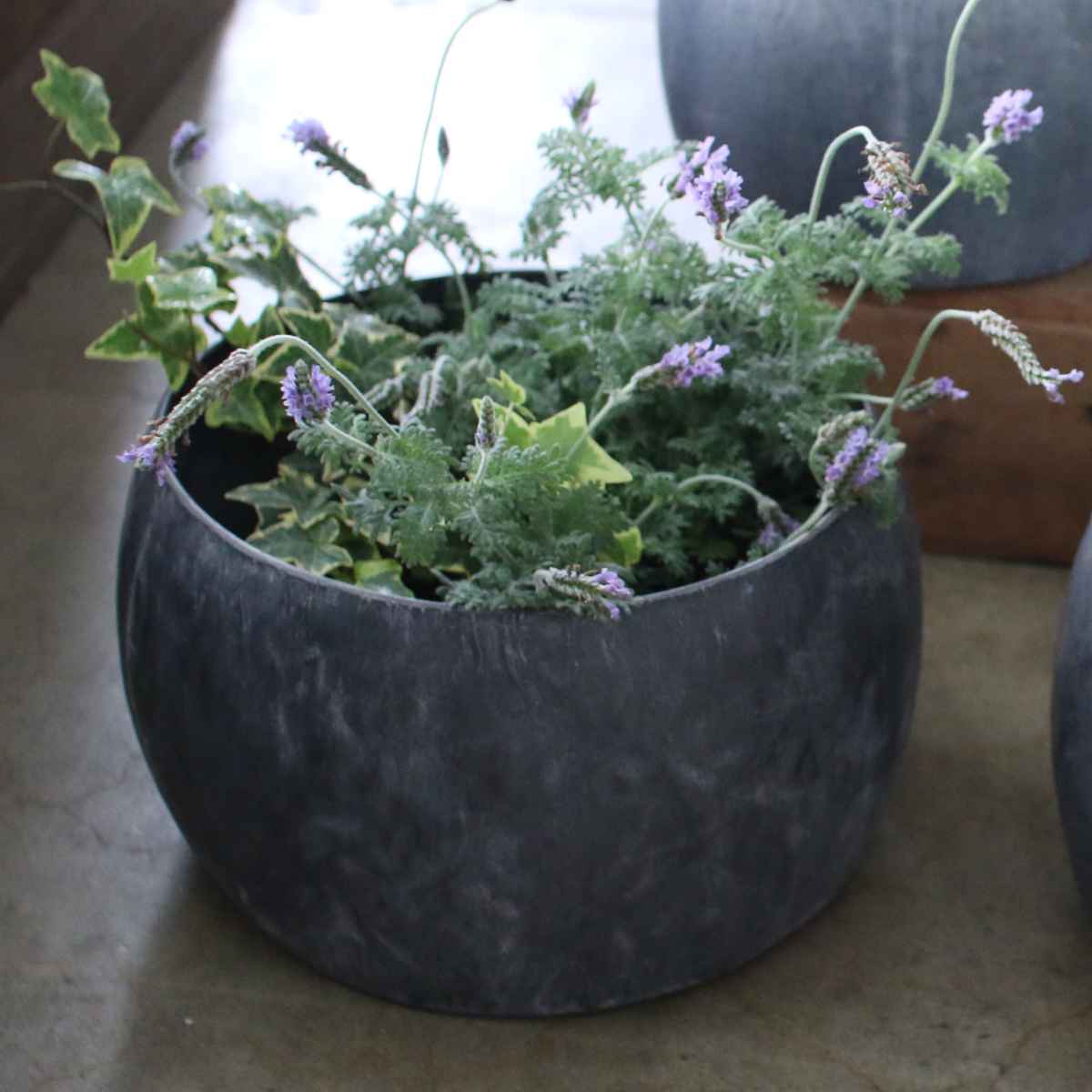 植木鉢 ブリキプランター ラウンド M ( プランター プラントポット 植物用ポット 鉢カバー ブリキポット ブリキ鉢 植物 花 ドライフラワー 観葉植物 多肉植物 園芸 インテリア 収納 丸型 PVCポット付き )