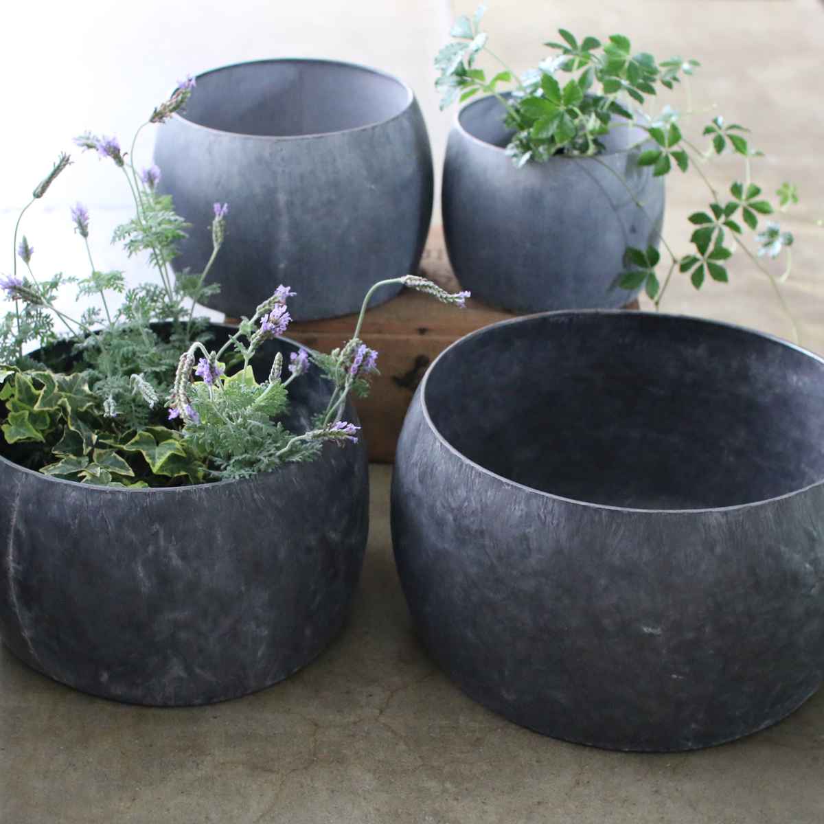 植木鉢 ブリキプランター ラウンド L ( プランター プラントポット 植物用ポット 鉢カバー ブリキポット ブリキ鉢 植物 花 ドライフラワー 観葉植物 多肉植物 園芸 インテリア 収納 丸型 PVCポット付き )