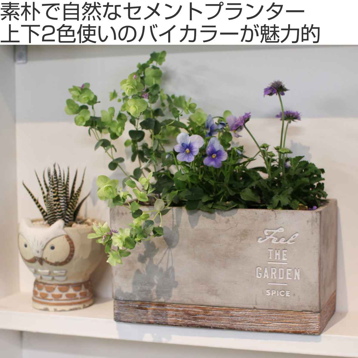 プランター FEEL THE GARDEN セメントプランター レクト L （ 植木鉢 プラントポット セメントポット 鉢 セメント鉢 ミニポット  底穴あり 受け皿 セット セメント 置く 四角 鉢植え 多肉 サボテン 直植え 水はけ おしゃれ ）