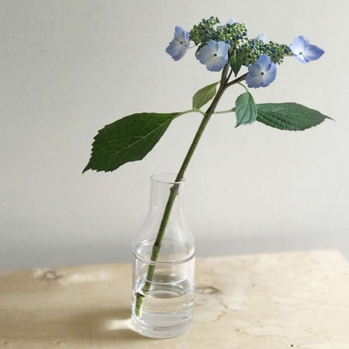 花瓶 LABO GLASS ボトルフラワーベース 2WAY Sサイズ