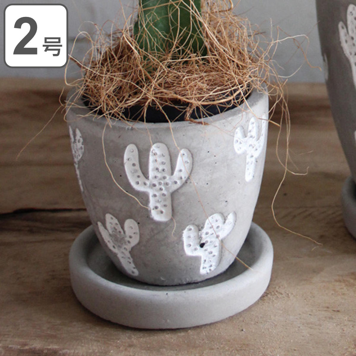 ホワイト円錐形陶器プランター ホワイト円錐形陶器プランター