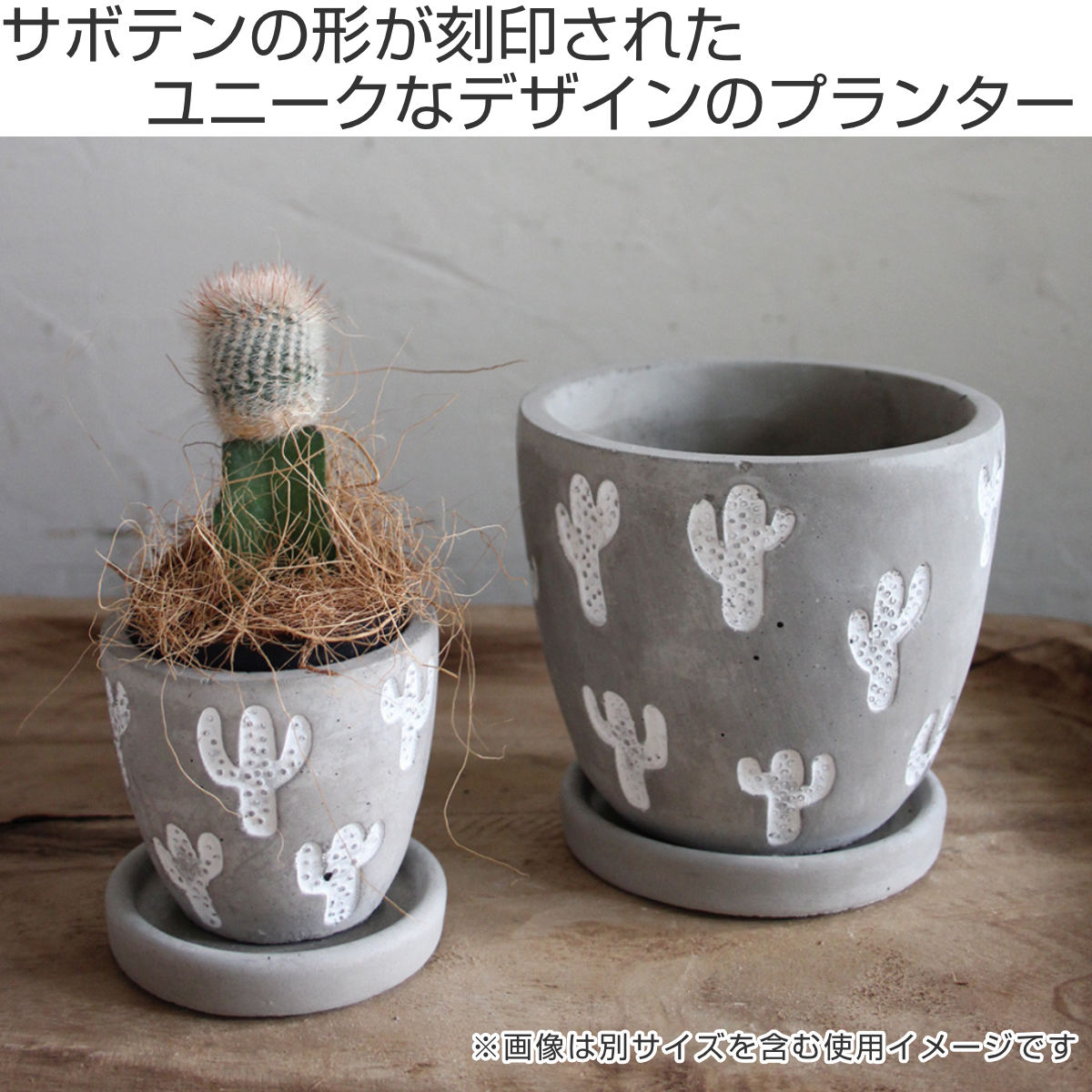 dショッピング |植木鉢 レリーフ プランター サボテン 3号 セメント