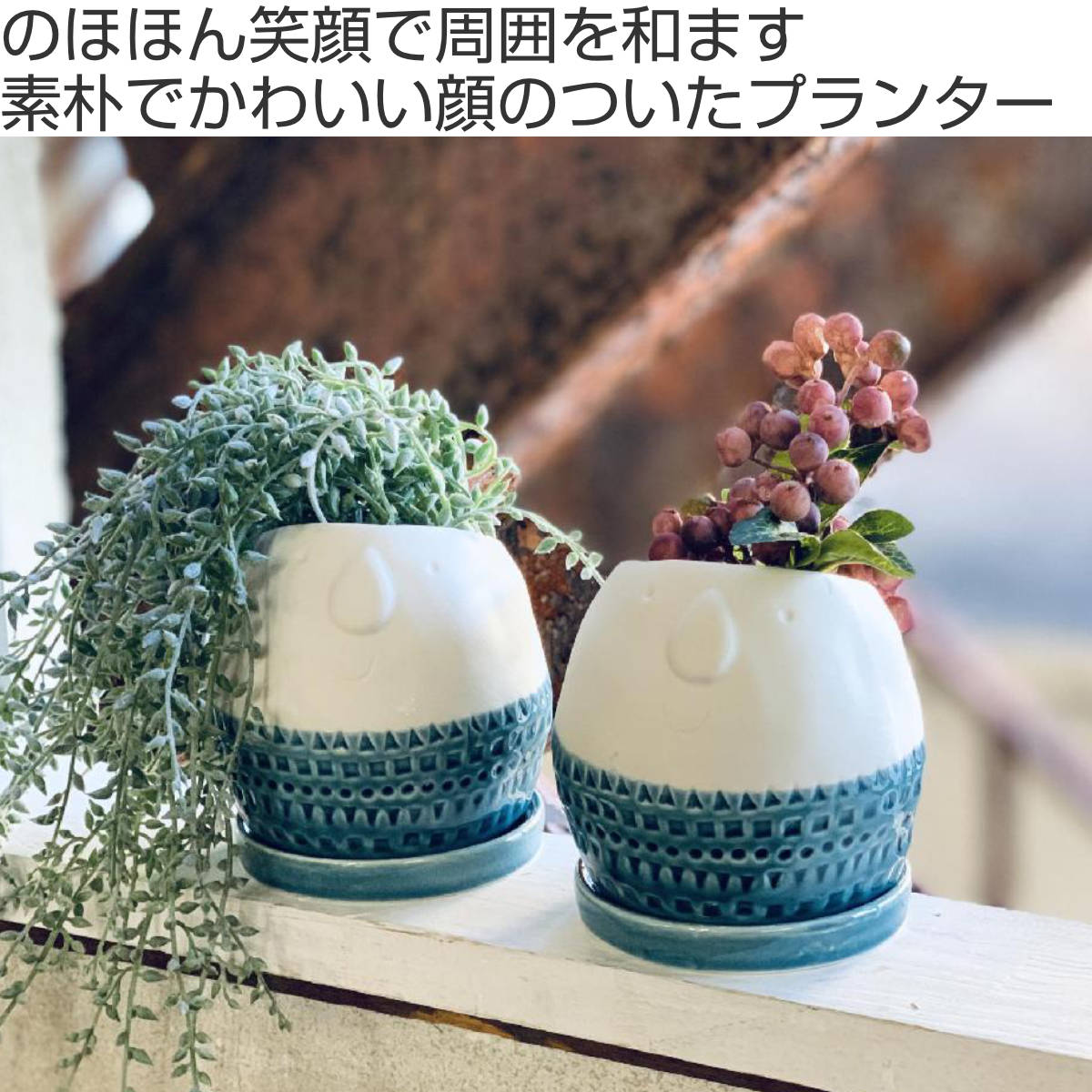 dショッピング |植木鉢 Maske ラウンドプランター Lサイズ 2号