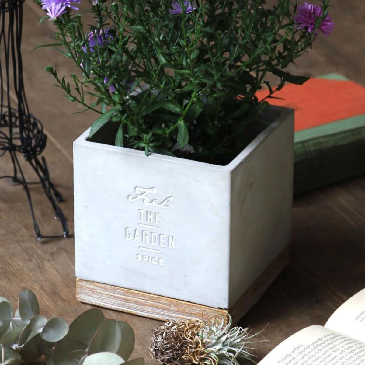 植木鉢 FEEL THE GARDEN セメントプランター スクエア L （ 植木鉢