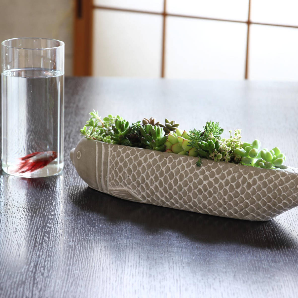 プランター フィッシュプランター Lサイズ （ 植木鉢 プラントポット 植物用ポット 鉢 花器 ポット ミニプランター 卓上 セメント ガーデンポット  浅鉢 魚型 花 多肉 植物 観葉植物 サボテン 寄せ植え 園芸 直植え おしゃれ ） 【ブラック】