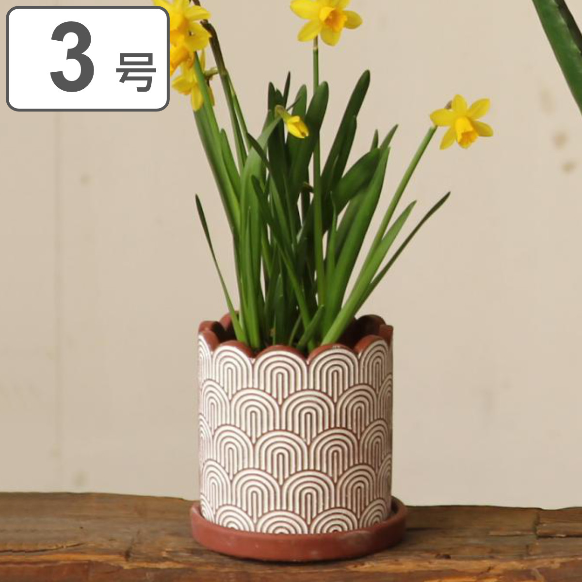 植木鉢 ホワイトラインプランター Sサイズ （ プランター プラントポット 植物用ポット 鉢 花器 鉢カバー ポット セメント 3号鉢 丸 植木