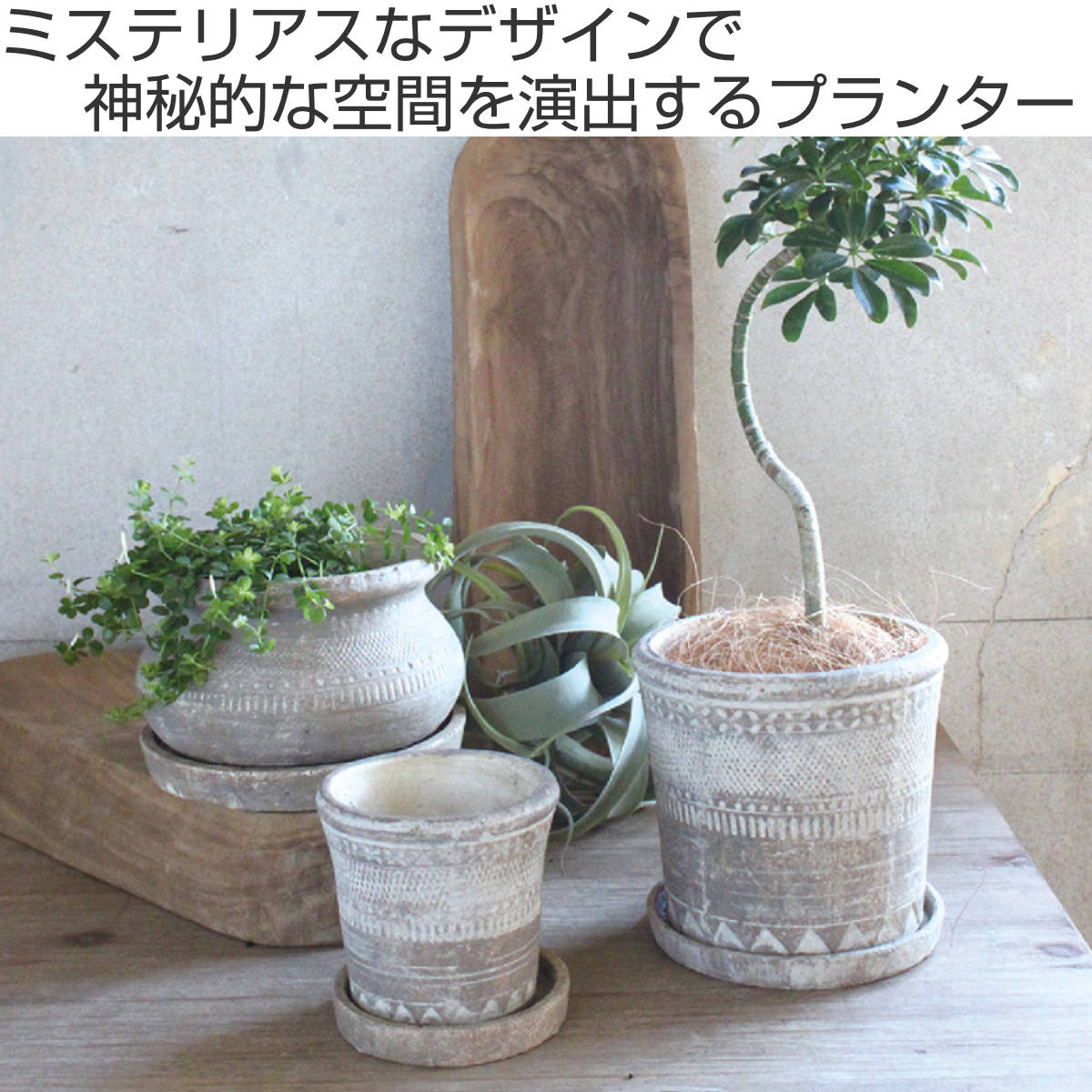 家具・インテリア観葉植物プランター✳︎ソーサー植木鉢テラコッタ