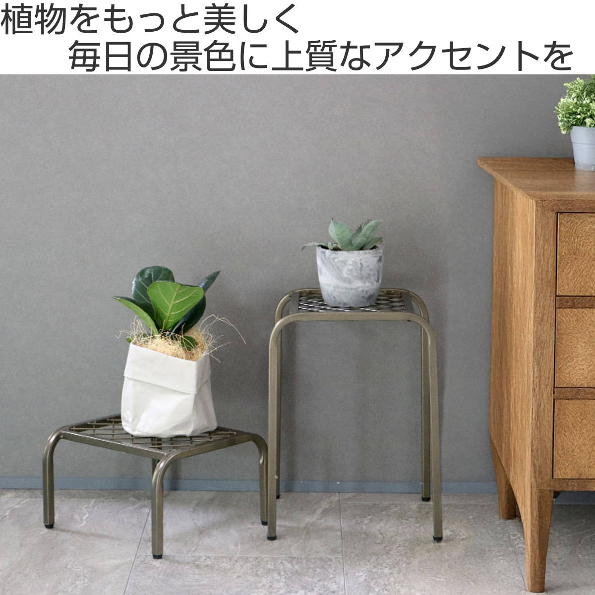 花台 アイアン プランタースタンド TWILL ツイル ローサイズ 同色2個組 ( プランター台 フラワーラック 飾り台 プランターラック フラワー スタンド 室内 飾る 台 脚付き 置く 植物 観葉植物 花 園芸 アイアンフレーム 2個セット ) 【ゴールド】 ゴールド