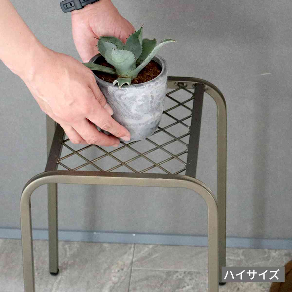 花台 アイアン プランタースタンド TWILL ツイル ローサイズ 同色2個組 ( プランター台 フラワーラック 飾り台 プランターラック フラワー スタンド 室内 飾る 台 脚付き 置く 植物 観葉植物 花 園芸 アイアンフレーム 2個セット ) 【ゴールド】 ゴールド