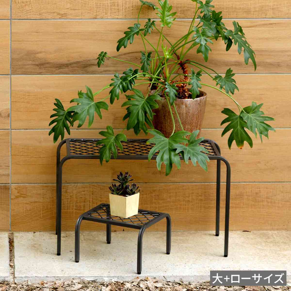 花台 アイアン プランタースタンド TWILL ツイル ローサイズ 同色2個組 ( プランター台 フラワーラック 飾り台 プランターラック フラワー スタンド 室内 飾る 台 脚付き 置く 植物 観葉植物 花 園芸 アイアンフレーム 2個セット ) 【ゴールド】 ゴールド