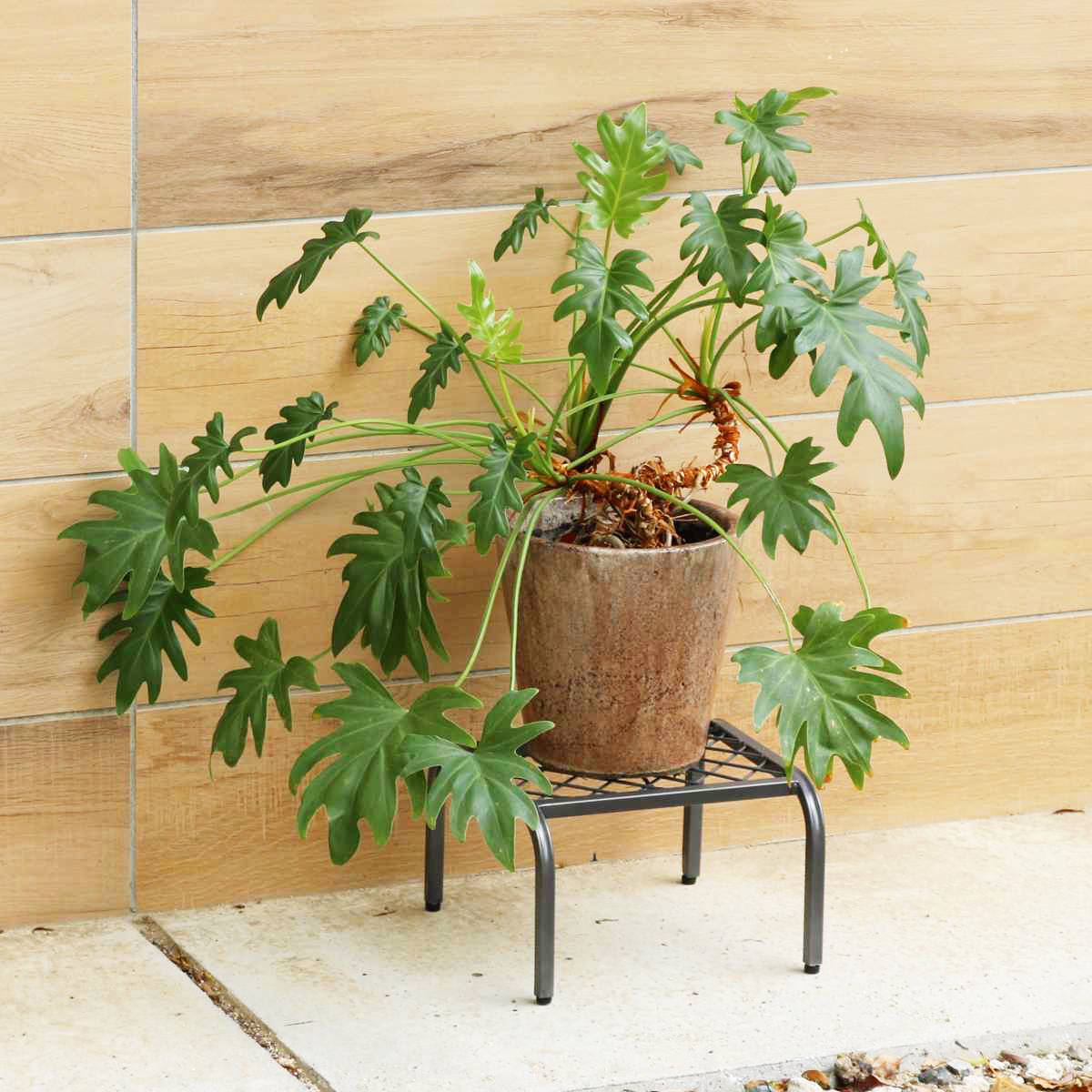 花台 アイアン プランタースタンド TWILL ツイル ハイサイズ 同色2個組 ( プランター台 フラワーラック 飾り台 プランターラック フラワー スタンド 室内 飾る 台 脚付き 置く 植物 観葉植物 花 園芸 アイアンフレーム 2個セット ) 【ゴールド】 ゴールド