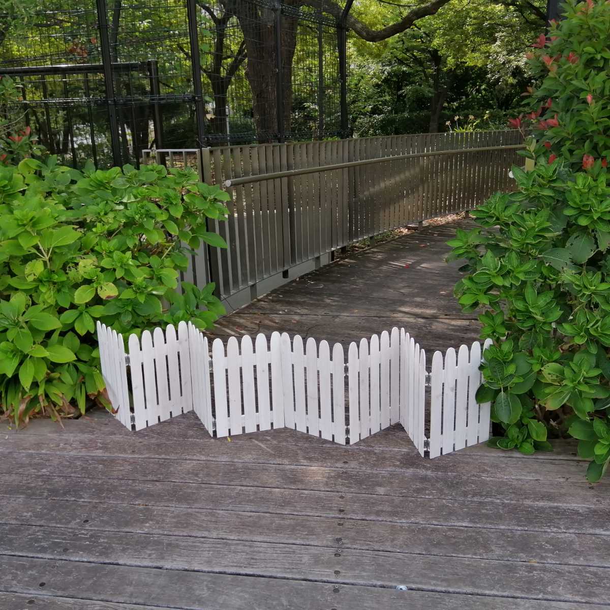 フェンス 折り畳めるウッドミニフェンス 木製 折り畳み ( ガーデンフェンス 柵 折りたたみ 4連 園芸 エクステリア 雑貨 ウッドフェンス 花壇 庭 ベランダ バルコニー ガーデニング 木製ガーデンフェンス 蝶番 インテリア ) 【ライトブラウン】 ライトブラウン